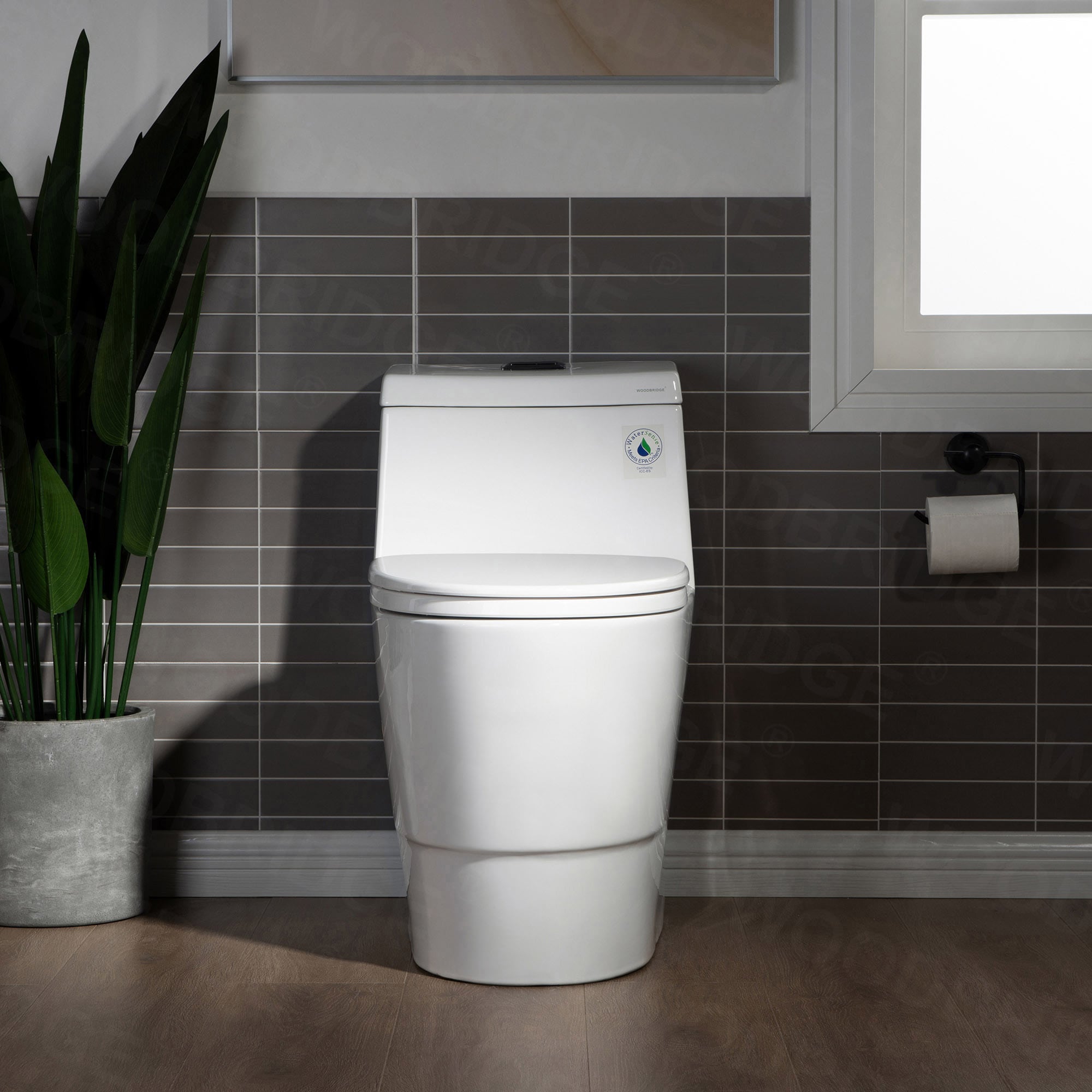 Woodbridge LT521 toilets - View #2