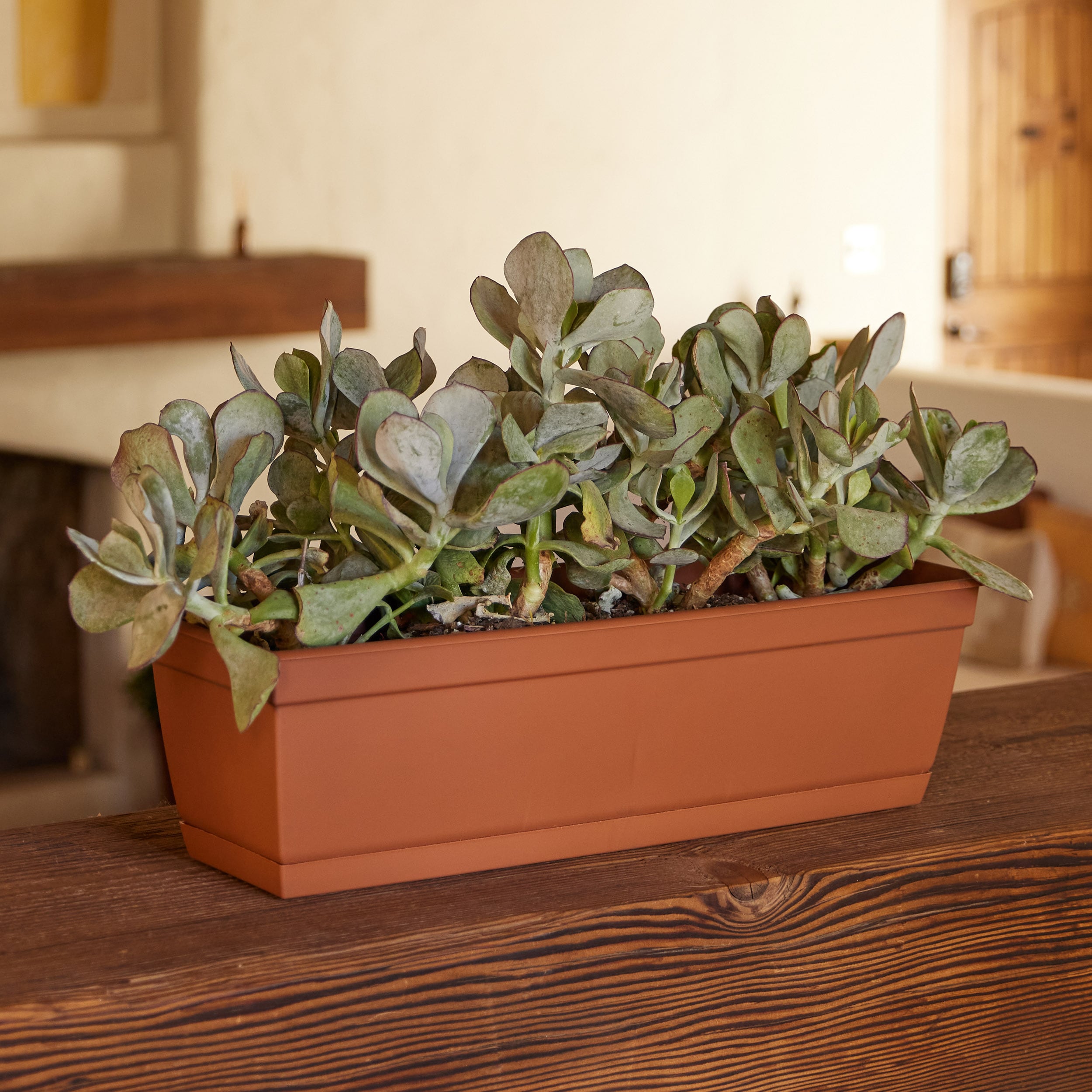 Bloem DCBT18-46 Planter-Window-Box - View #2