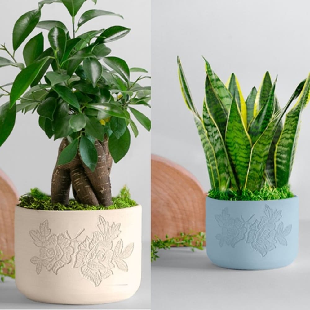 Planters – Cherish Home