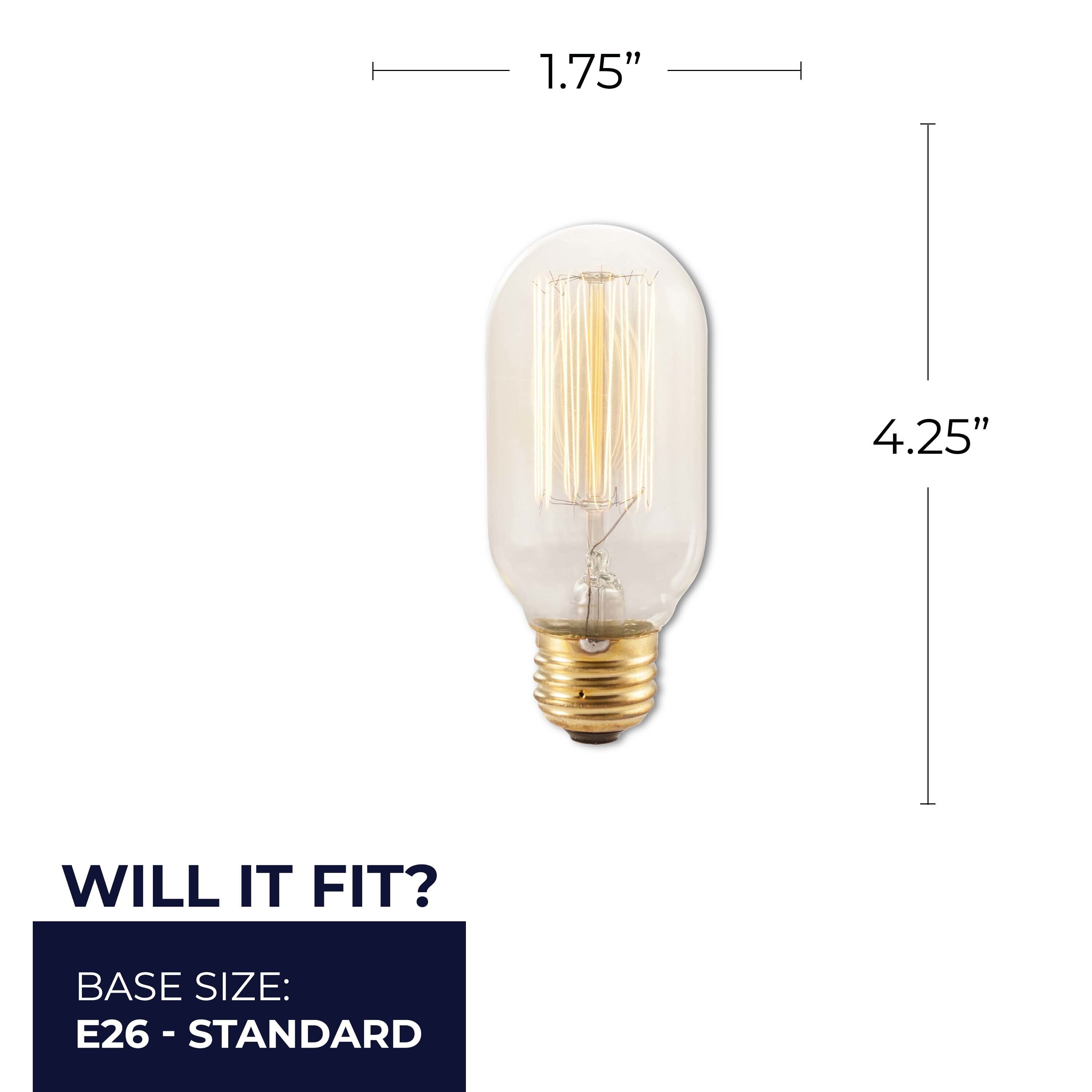 Bulbrite 861381 Dec-Led-Light-Bulbs - View #6