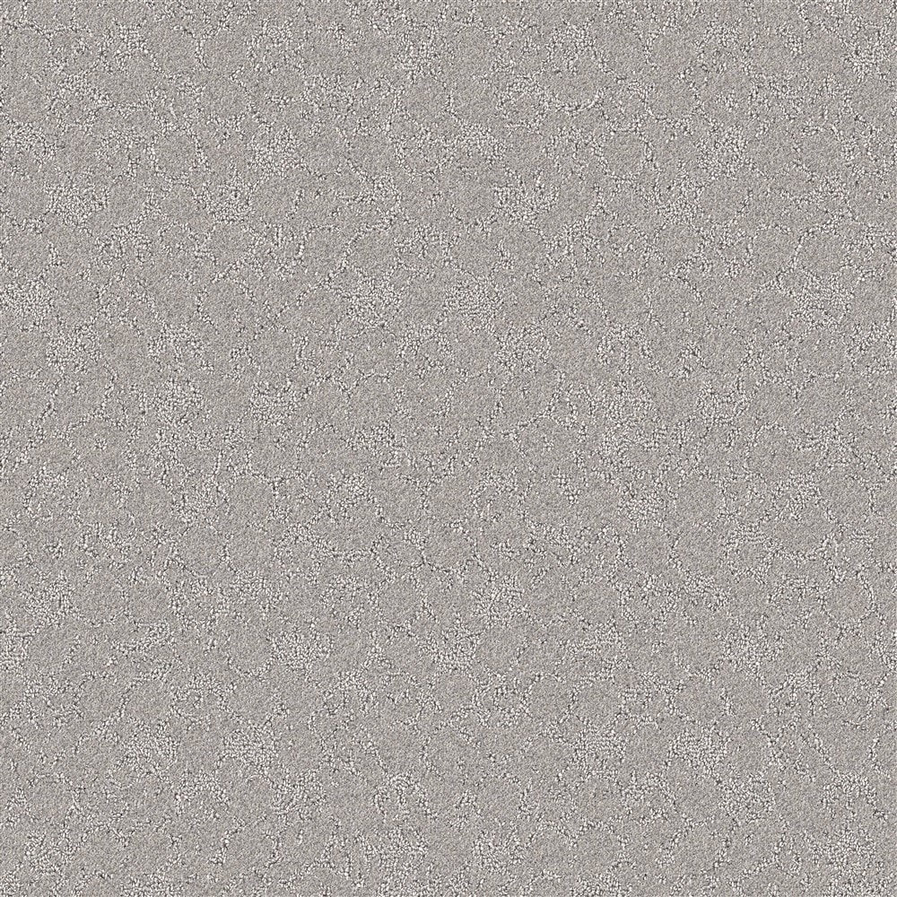 STAINMASTER PetProtect LU773-9513G (Sample) Family Member Peppery Taste Gray 35-oz sq yard Nylon Pattern Indoor Carpet