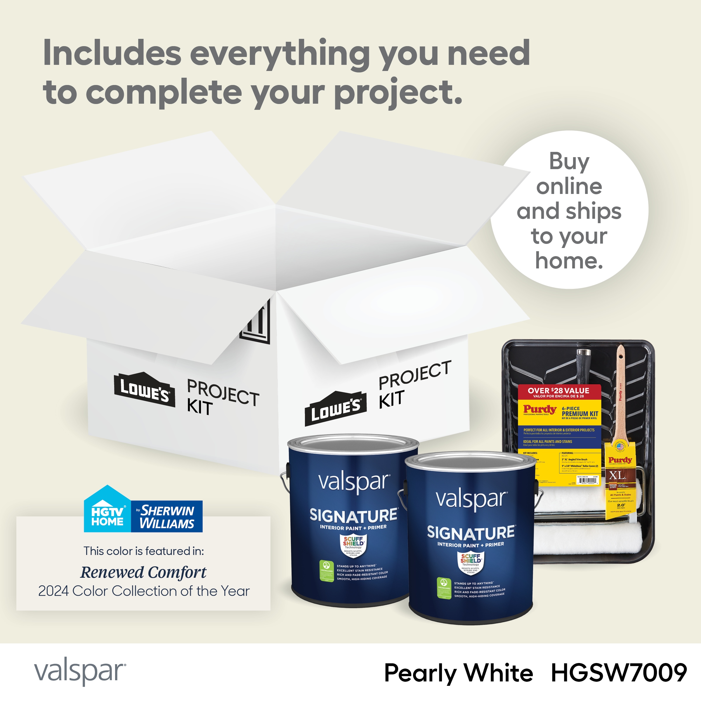 Valspar  Pearly White Paint Project Kit