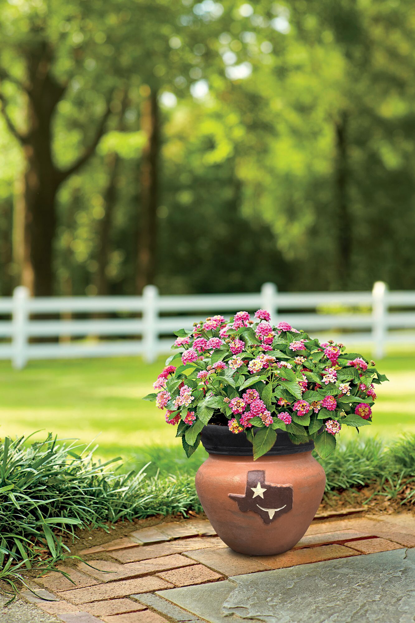 Style Selections RTX-2103-S Planter-Window-Box - View #2