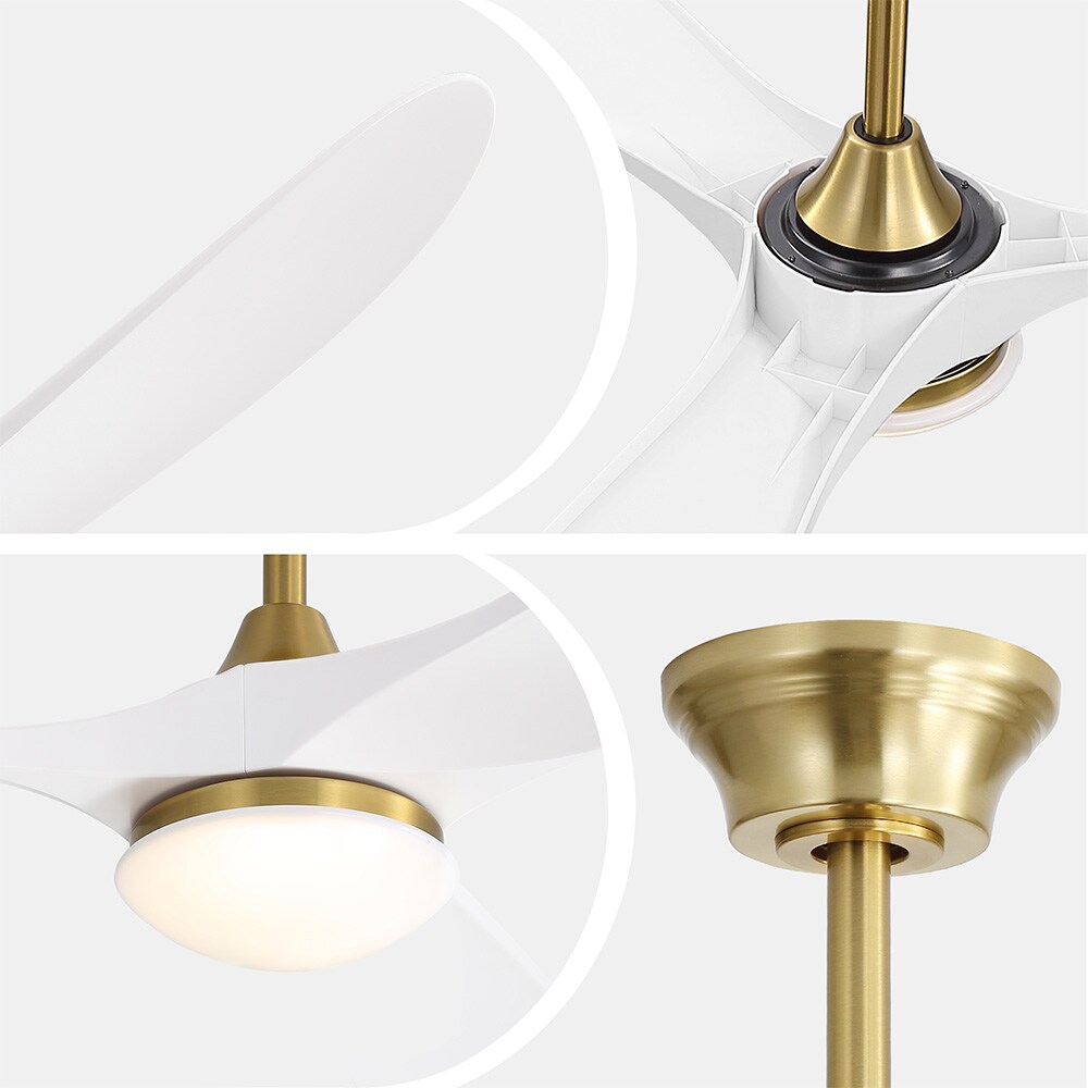 Sofucor LW-60K030SMTY-BG-WH Ceiling-Fans - View #5