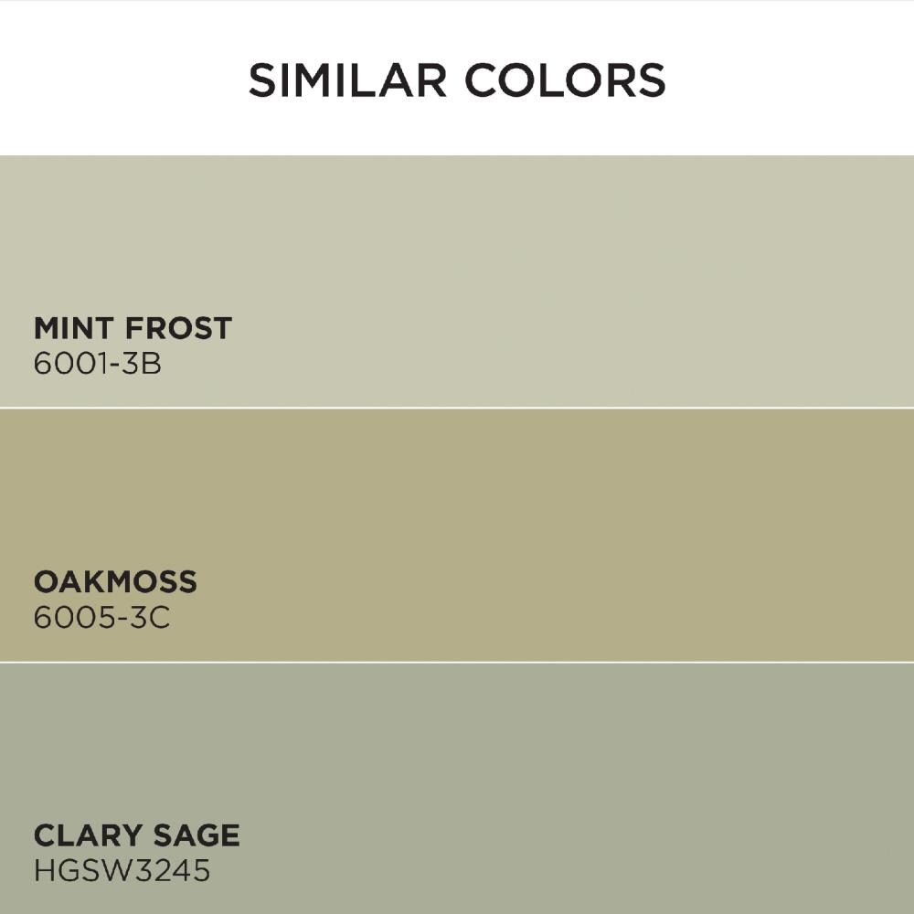 Valspar 6001-3C-935308 Int-Ext-Paint - View #6