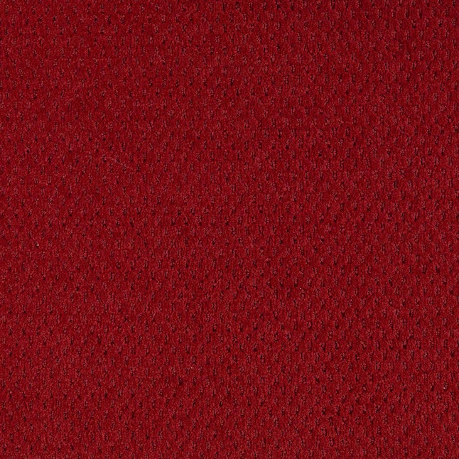 Mohawk Home & Office Classy Style Brandy Textured Carpet Sample (Interior) Mohawk Home & Office Classy Style Brandy Textured Carpet Sample (Interior)