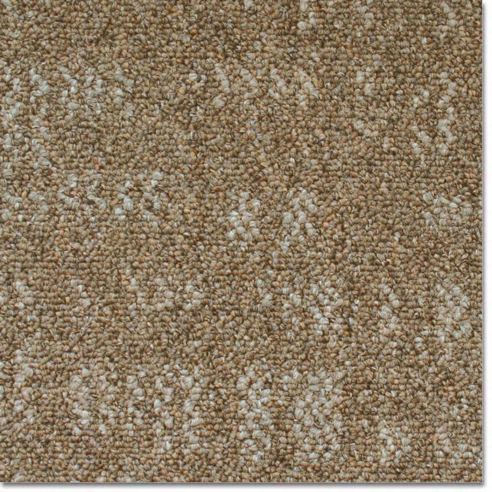 (Sample) Home and Office Bisque Berber/Loop Carpet at Lowes.com