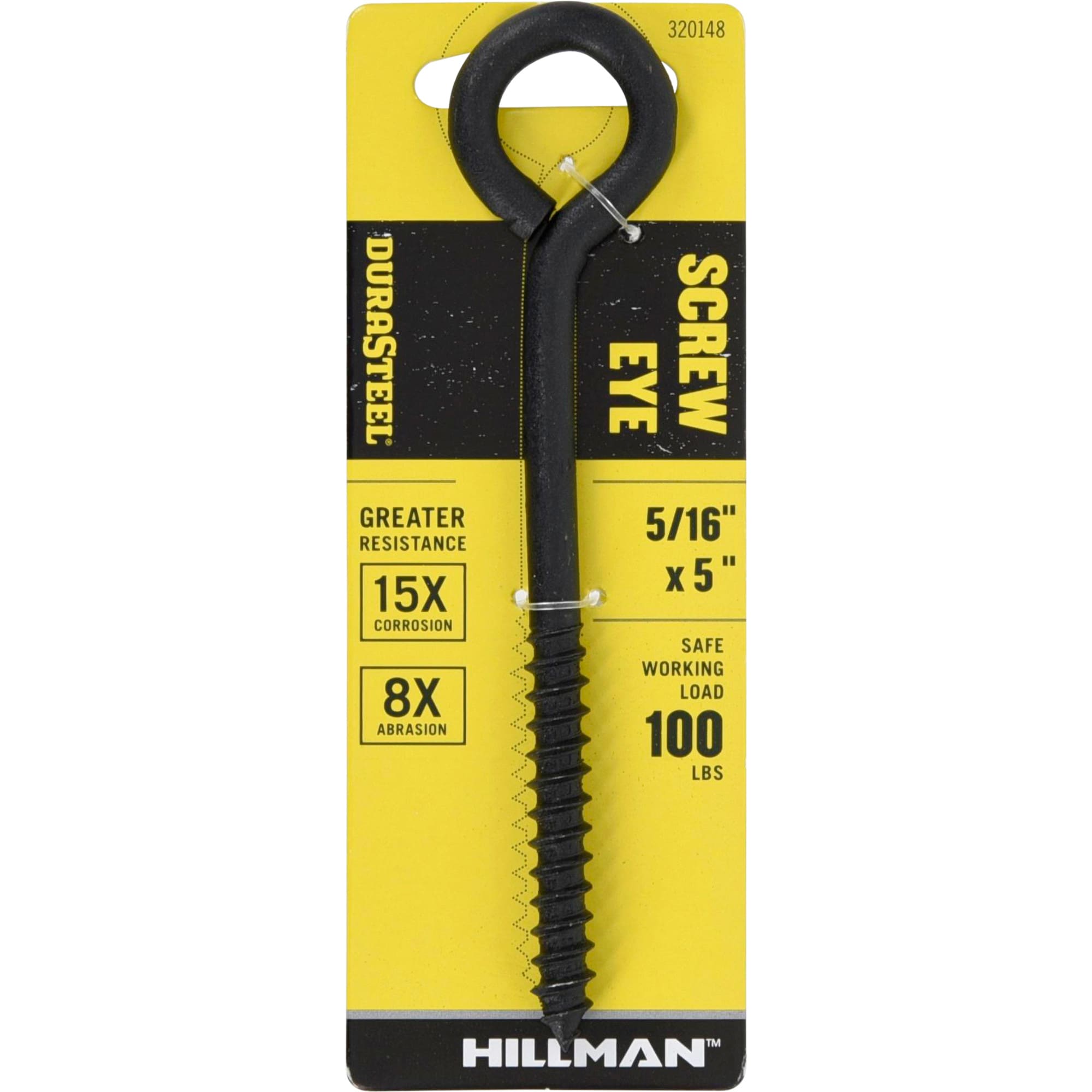 DuraSteel 5/16-in 5/16-in x 5-in Plain Interior/Exterior Coarse Thread Eye Bolt #320148
