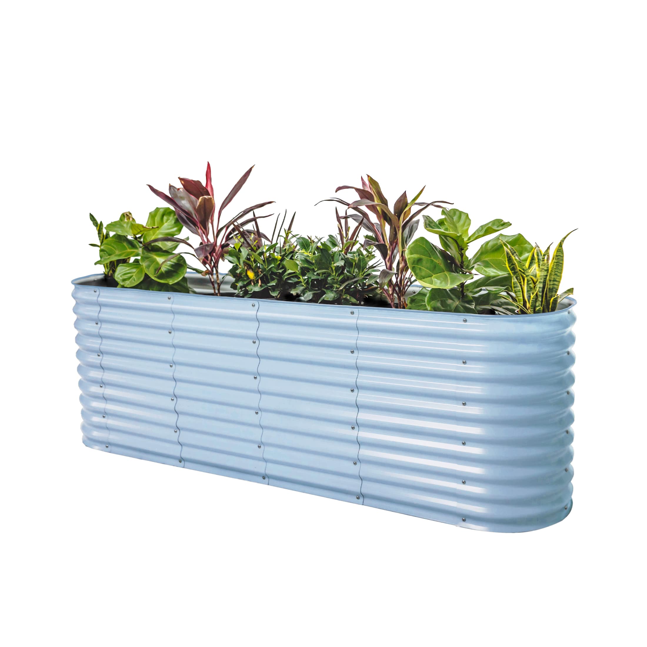 Vego Garden VB9N132SB 61-cu ft 42-in W x 78-in L x 32-in H Sky Blue Galvanized Metal Raised Garden Bed
