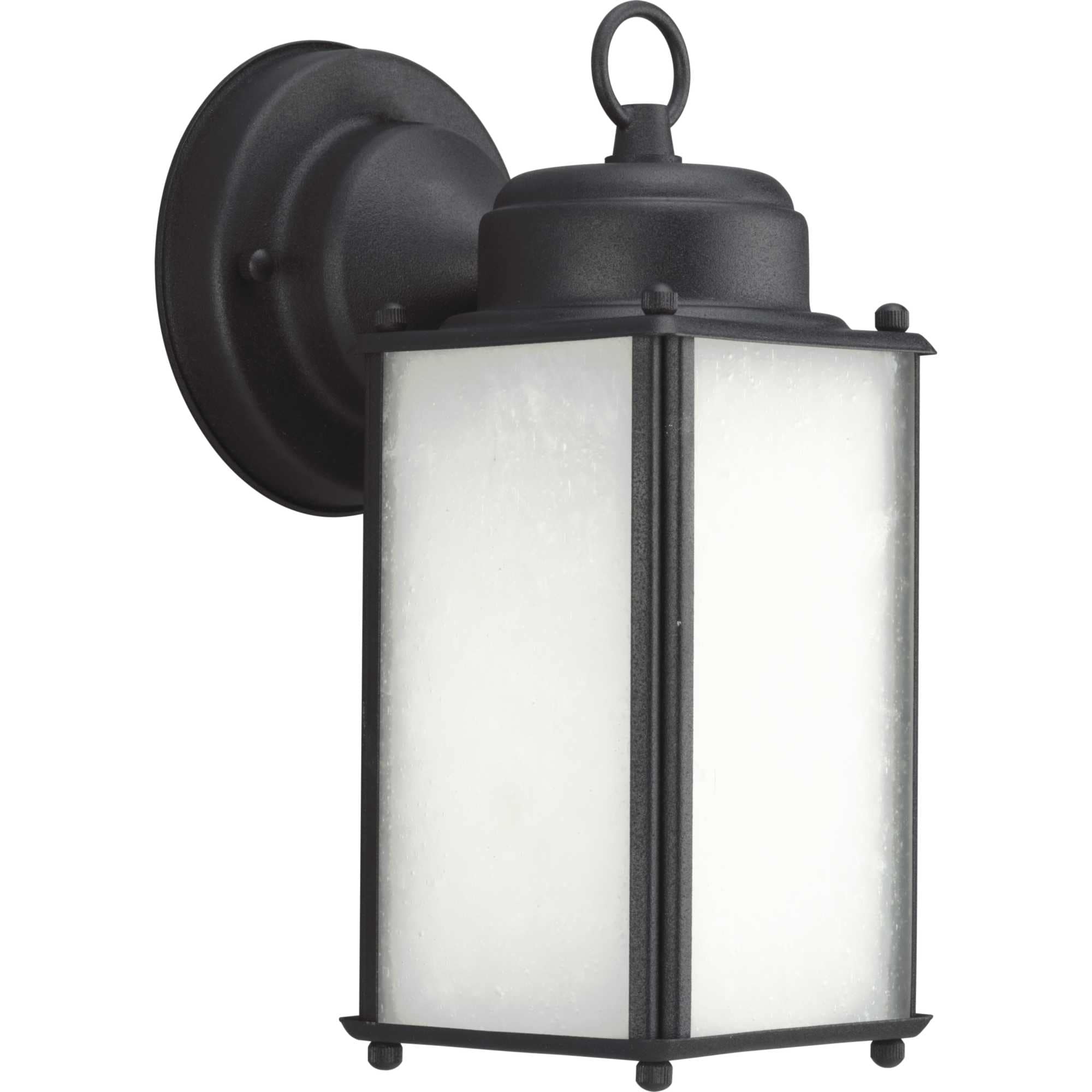 Progress Lighting Onion Lantern Collection 4-Light Textured Black