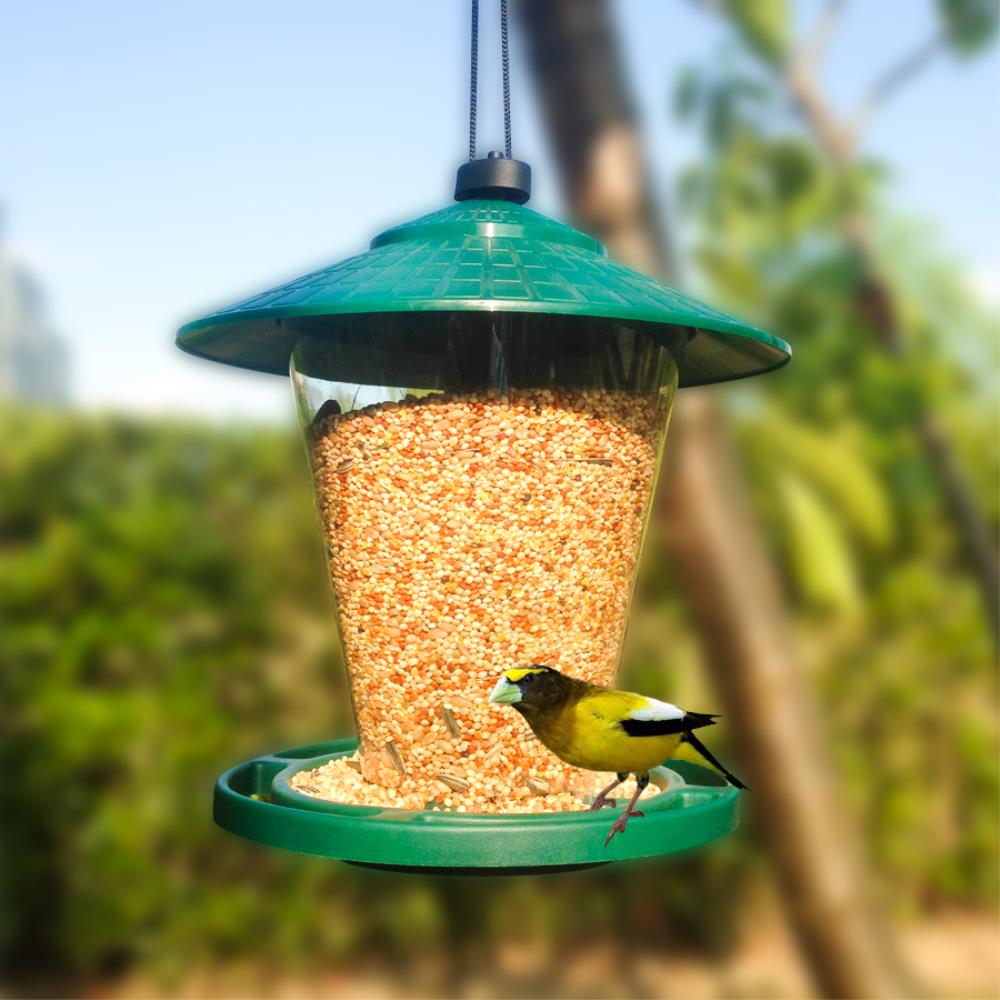 Style Selections Yellow Metal Hanging Hopper Bird Feeder- 4-lb Capacity in  the Bird Feeders department at