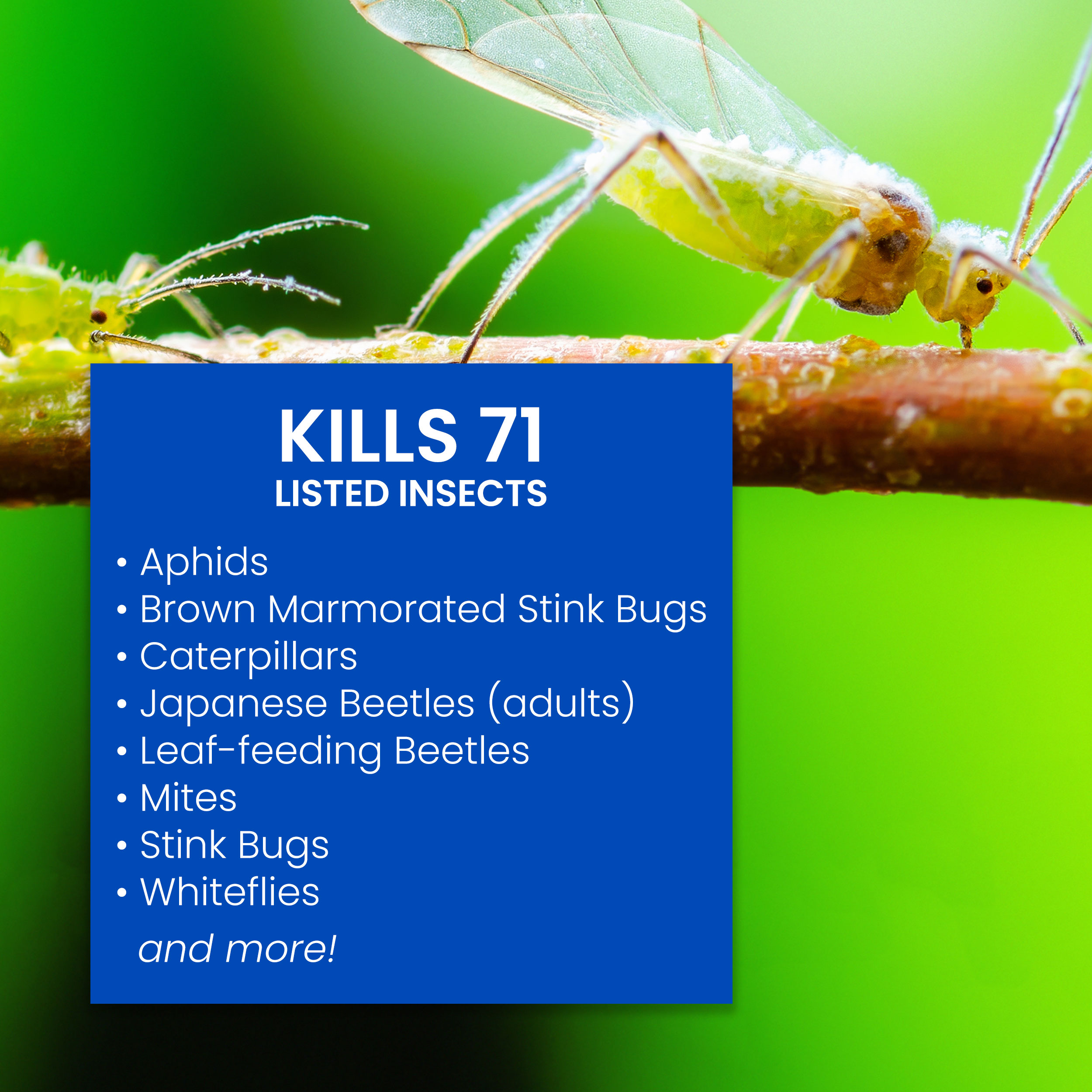 BioAdvanced 700384 pesticides - View #2