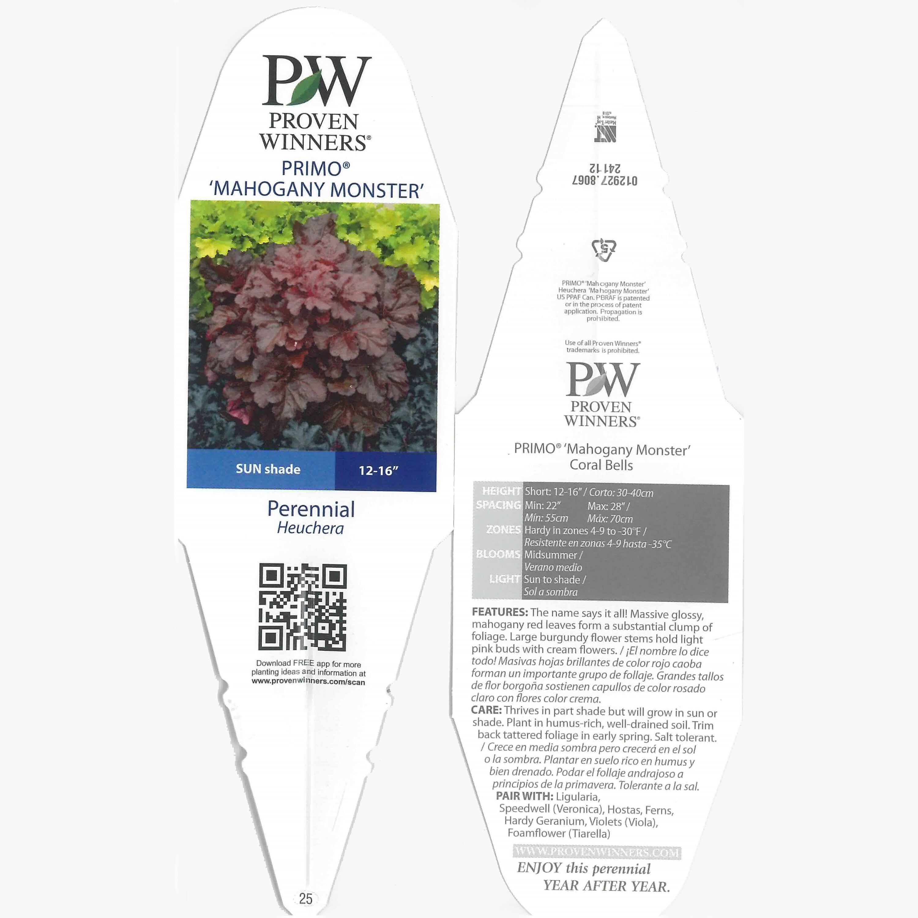 Proven Winners HEUPWP2547800 perennials - View #5