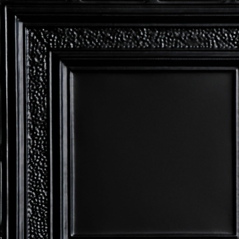 From Plain to Beautiful in Hours SKPC509-BK-24X24-N12 Ceiling-Tile - View #2