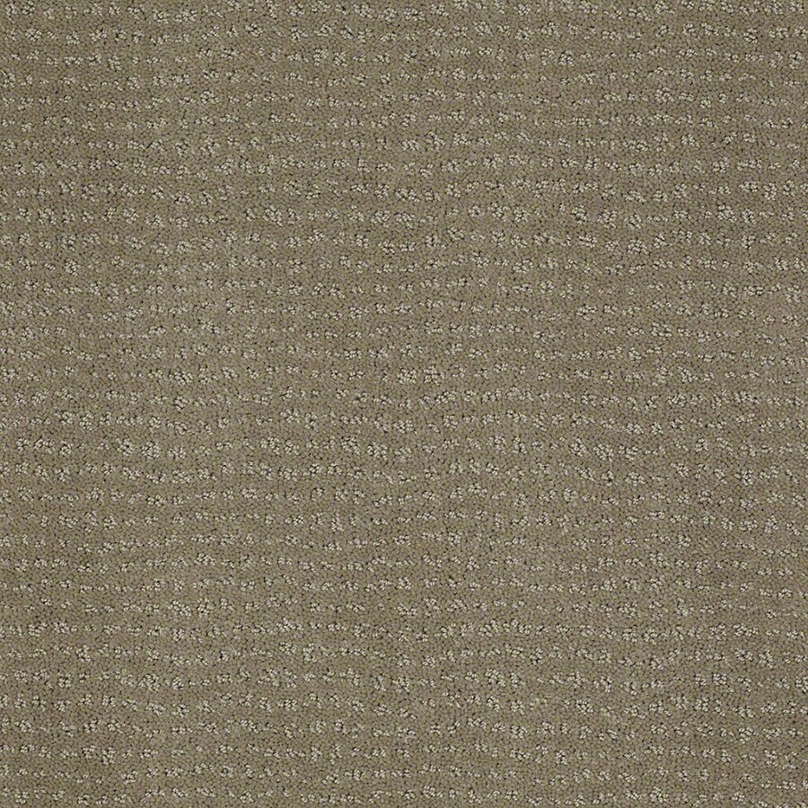 STAINMASTER S663018GREIGE-EIGE (Sample) Active Family Undisputed Greige Berber/Loop Carpet