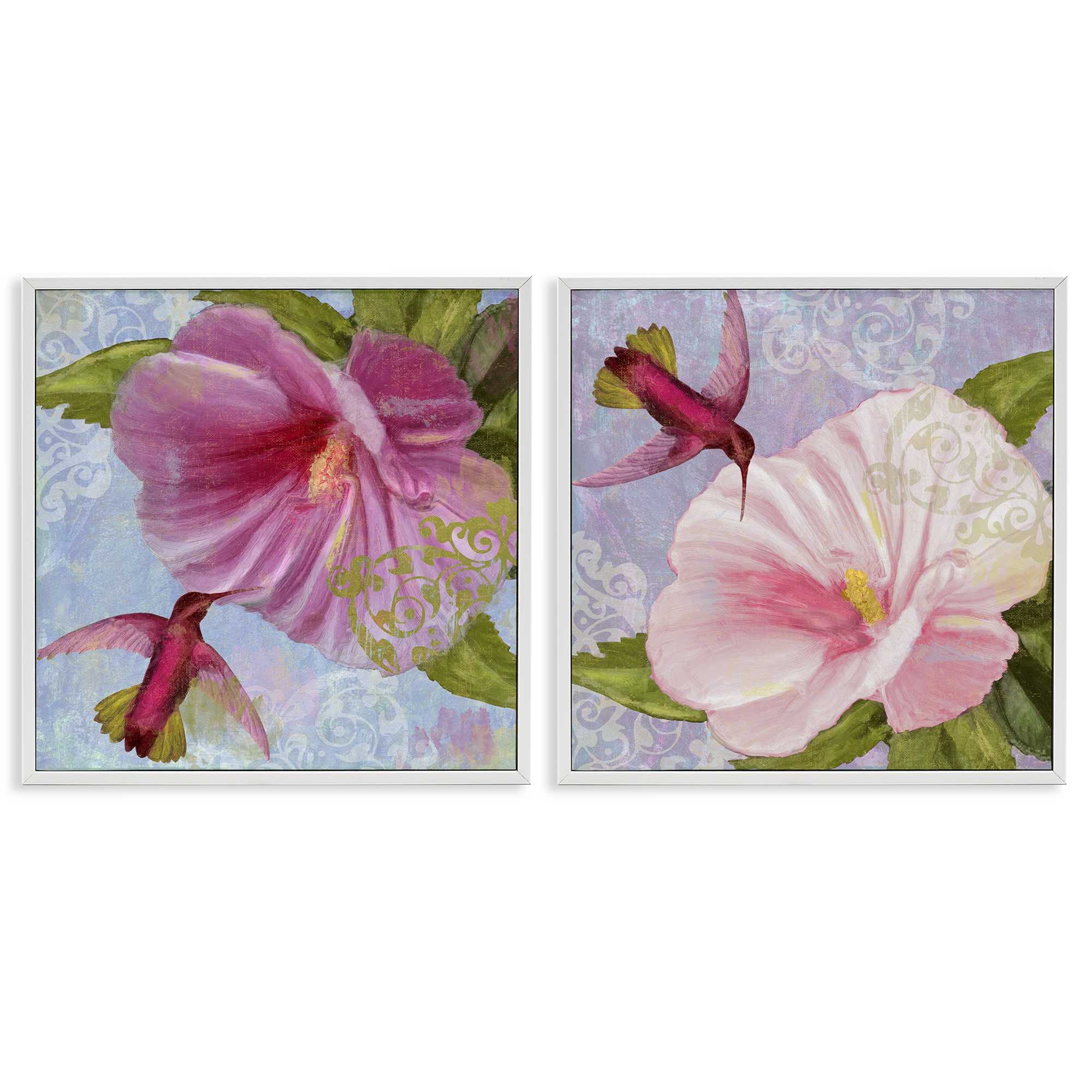 Stupell Industries B2-810-WFR-2PC-12X12 Hummingbirds and Poppy Bulbs 2 Piece White Framed Giclee Art Set By Sasha 12 x 12