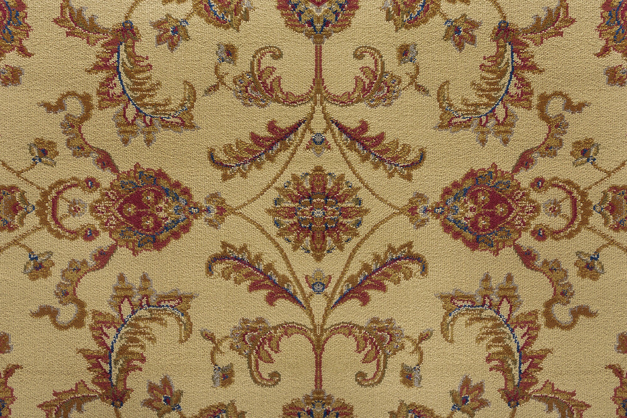Tayse SNS4792 11X15 rugs - View #7