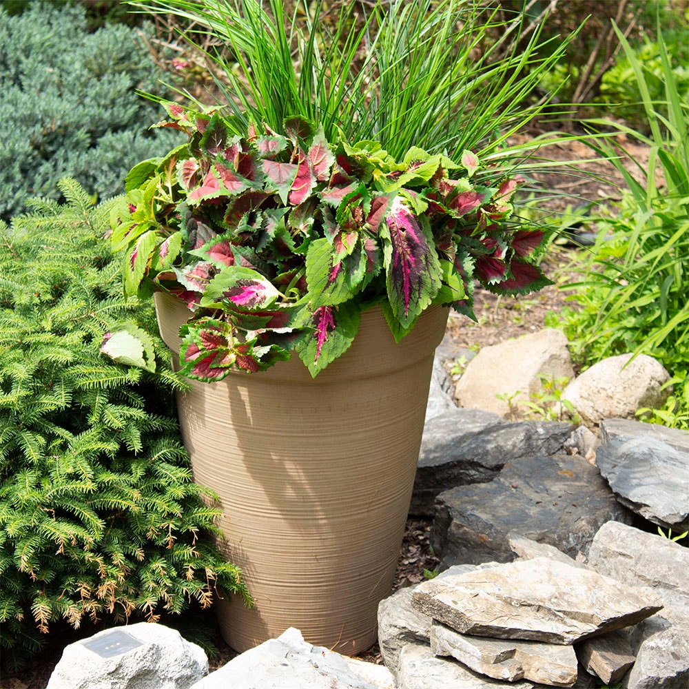 allen + roth US630148 Planter-Window-Box - View #6