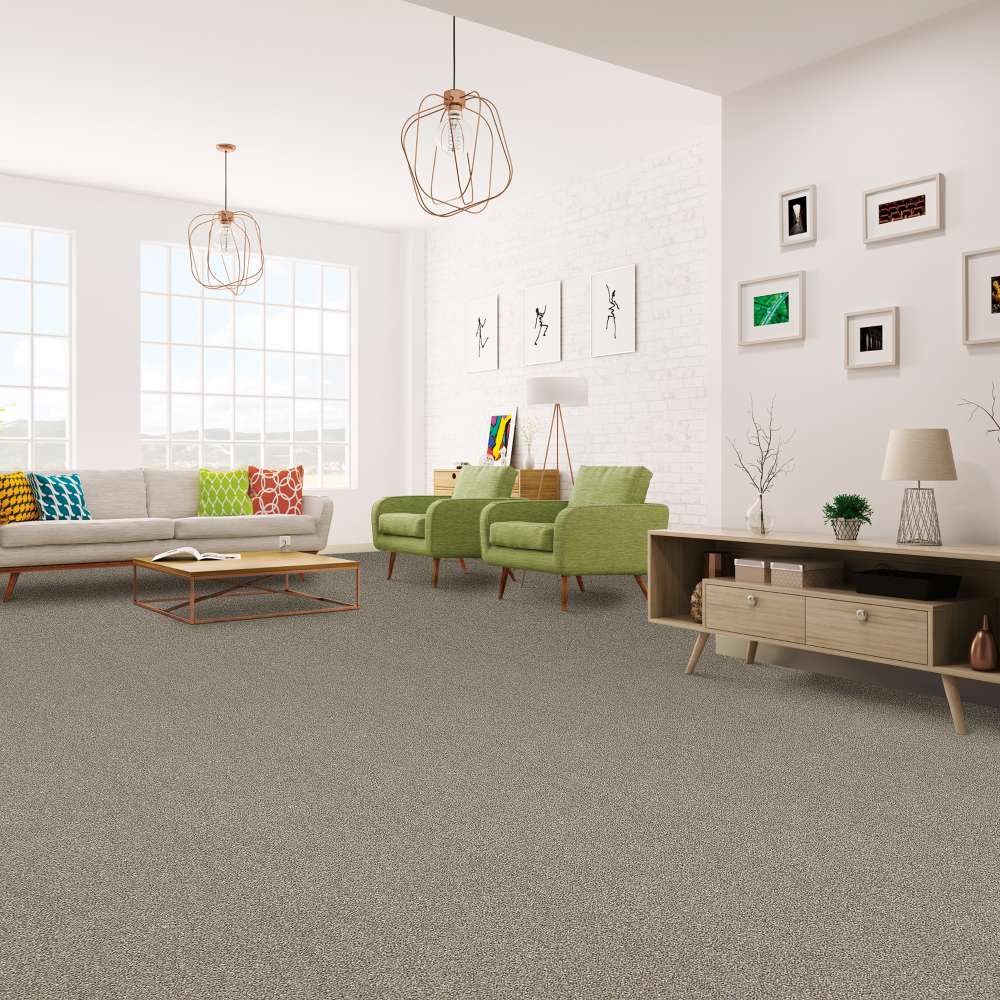 STAINMASTER 7L80100108 Carpet-Panel - View #6