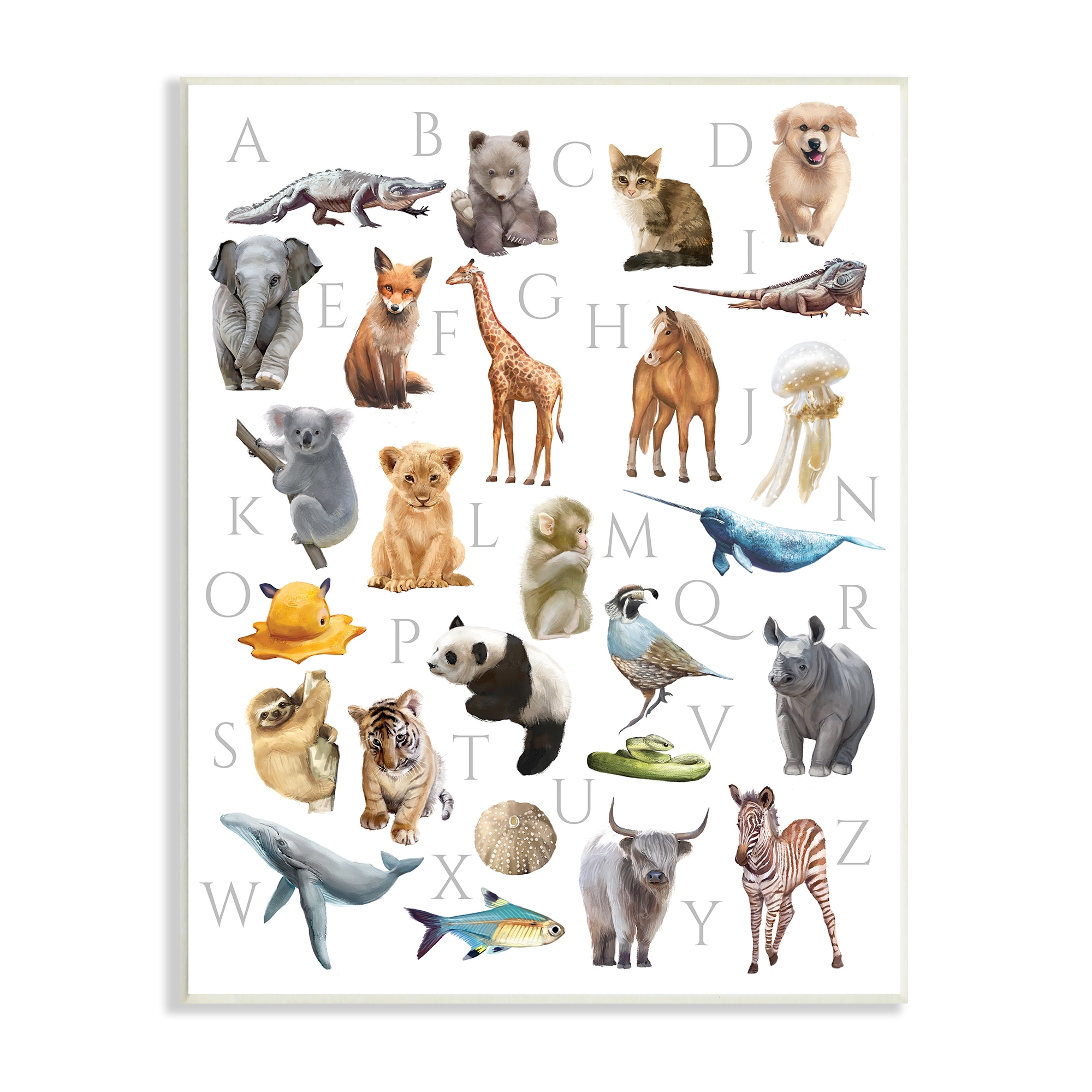Stupell Industries Traditional Abc Alphabet Animals Of The World