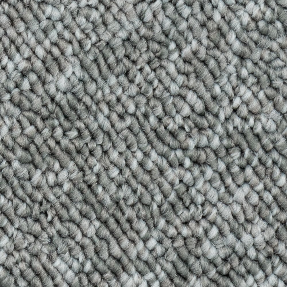  LU133-W0005-1200-AB Home Office Great Basin Aquatic Life Gray 28-oz sq yard Olefin Berber/Loop Indoor Carpet