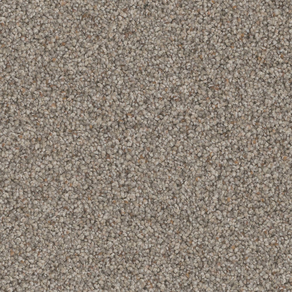 STAINMASTER PetProtect S9055-922-S (Sample) Piedmont Perimeter Multi-Colored 55-oz sq yard Nylon Textured Indoor Carpet