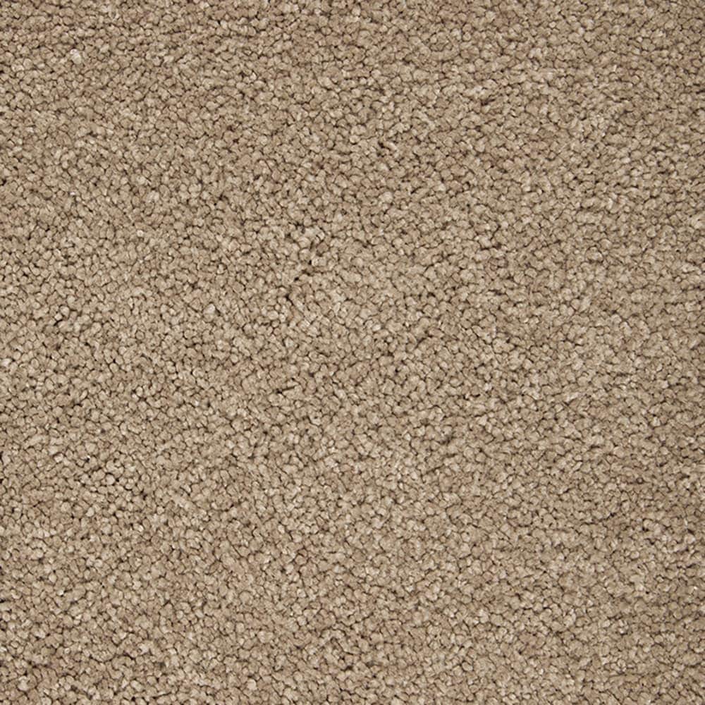 STAINMASTER PetProtect STP56-12-L015 Pawfection Timeless Brown 70-oz sq yard Triexta Textured Indoor Carpet