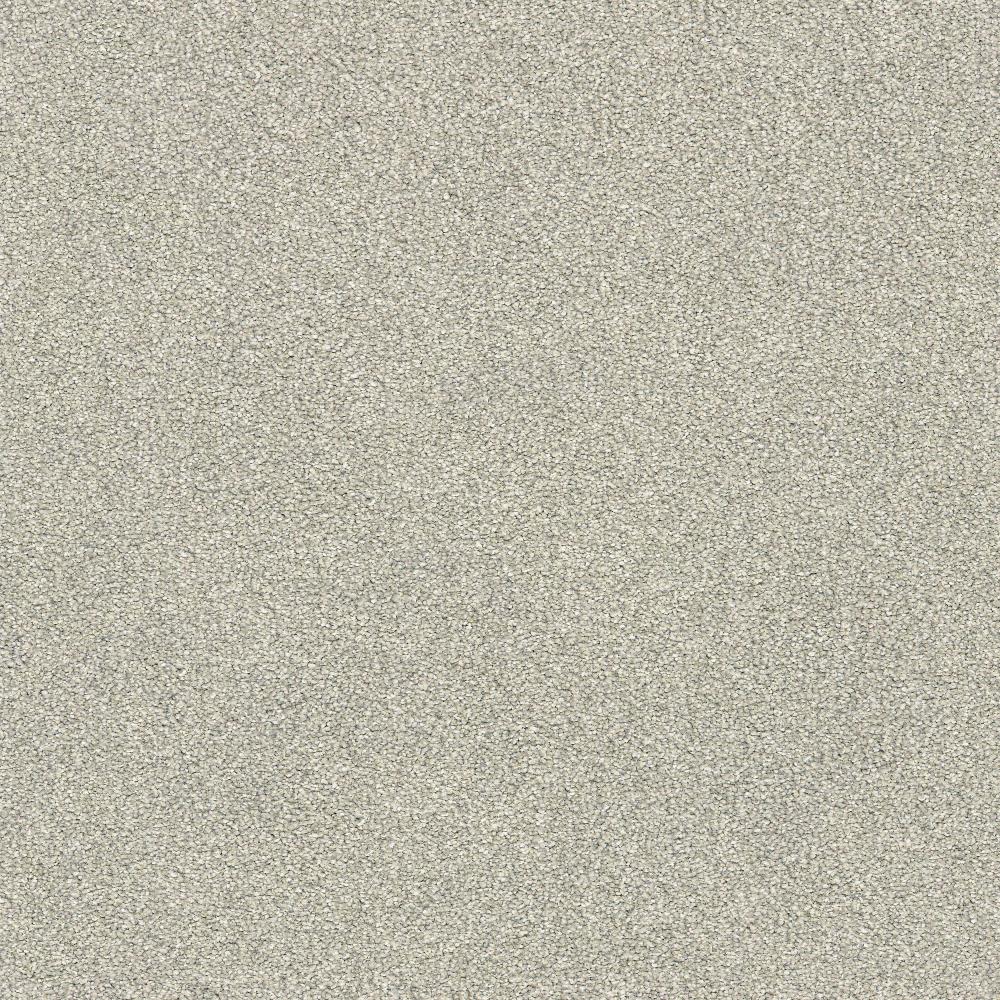 STAINMASTER C707400005 PetProtect Purebred- Kennel Plush Interior Carpet