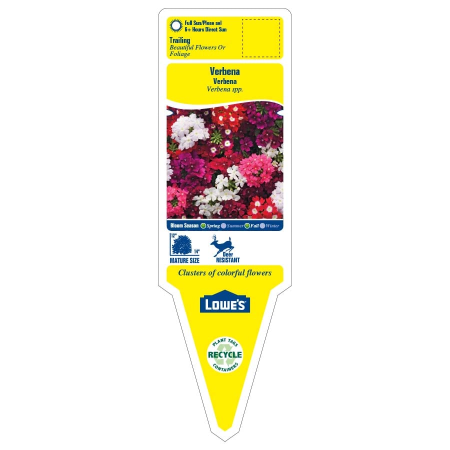 Lowe's 62272 annuals - View #2