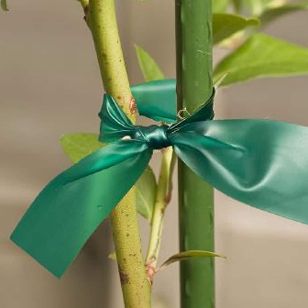 Gardener's Blue Ribbon 1800-in Plant Ties in the Plant Ties department at