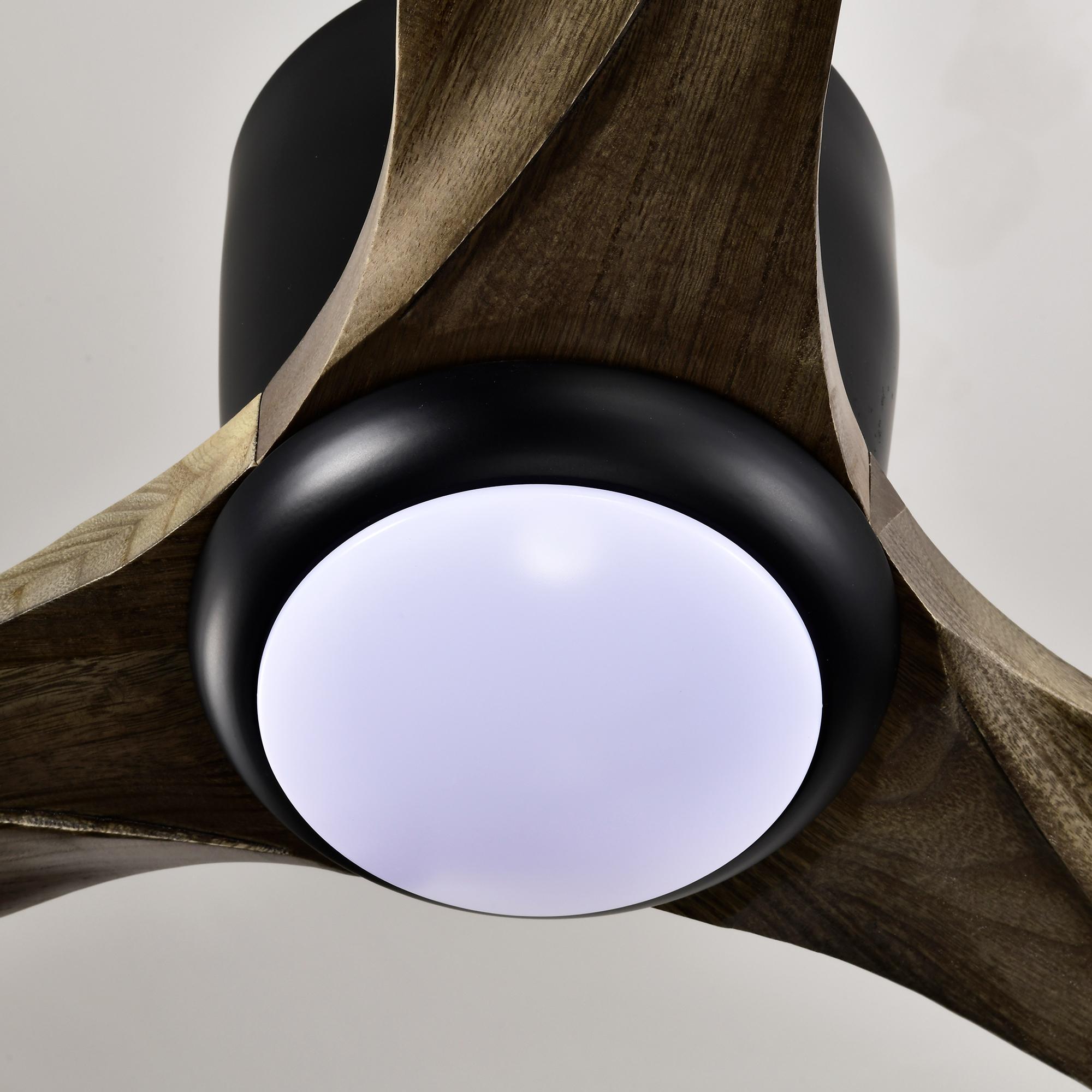 Bayfeve BF-419079-MP Ceiling-Fans - View #14
