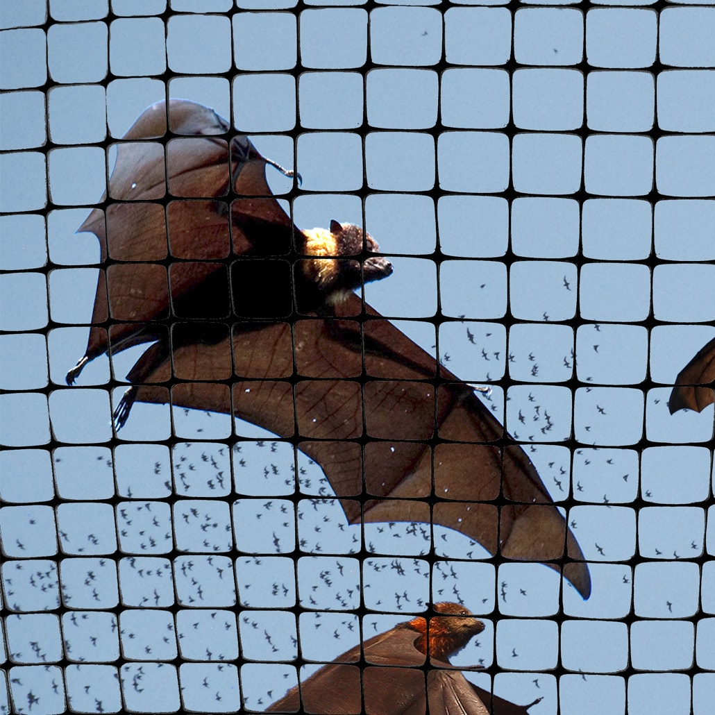 Bird-X NET-STR-100  - View #3