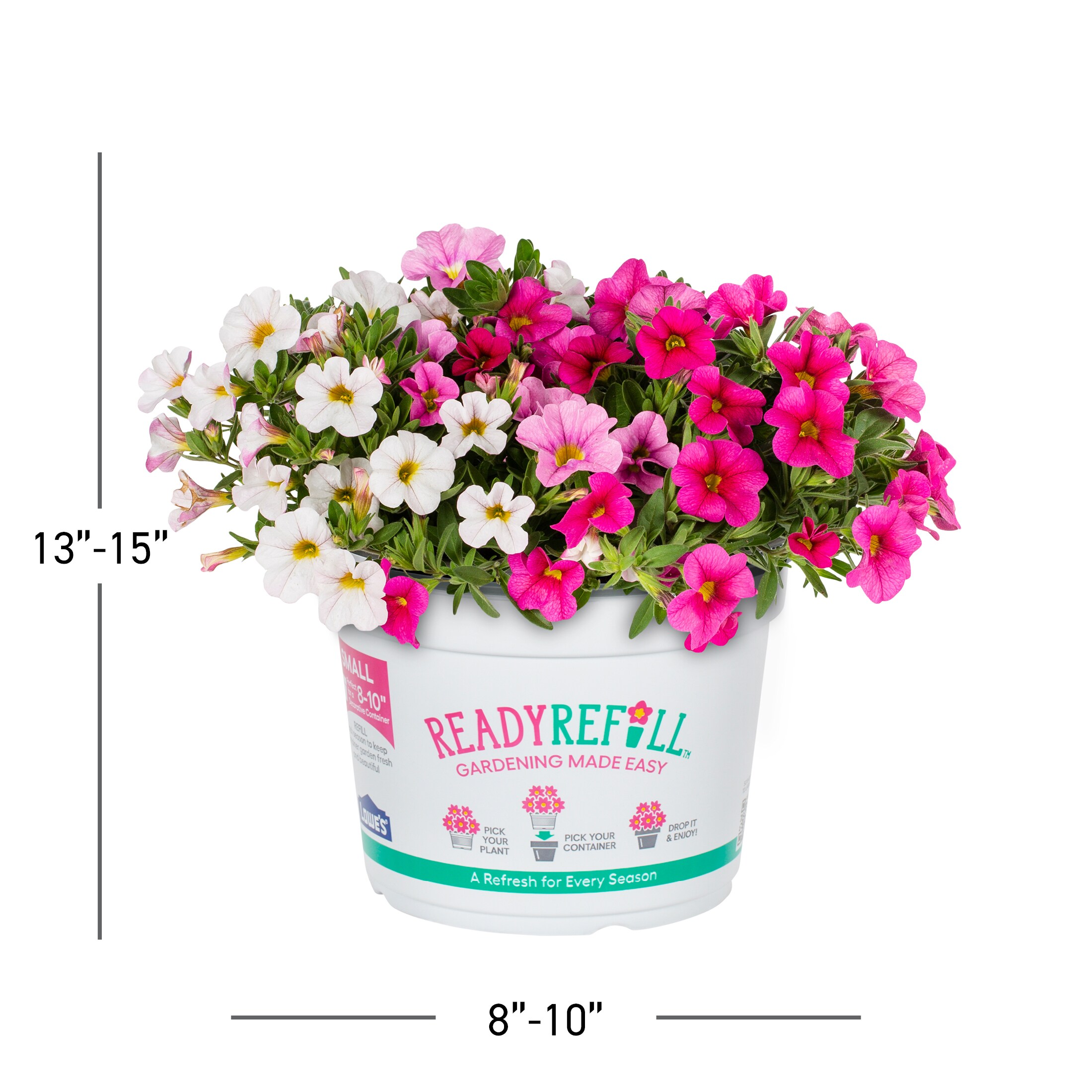 Ready Refill 4127 annuals - View #3