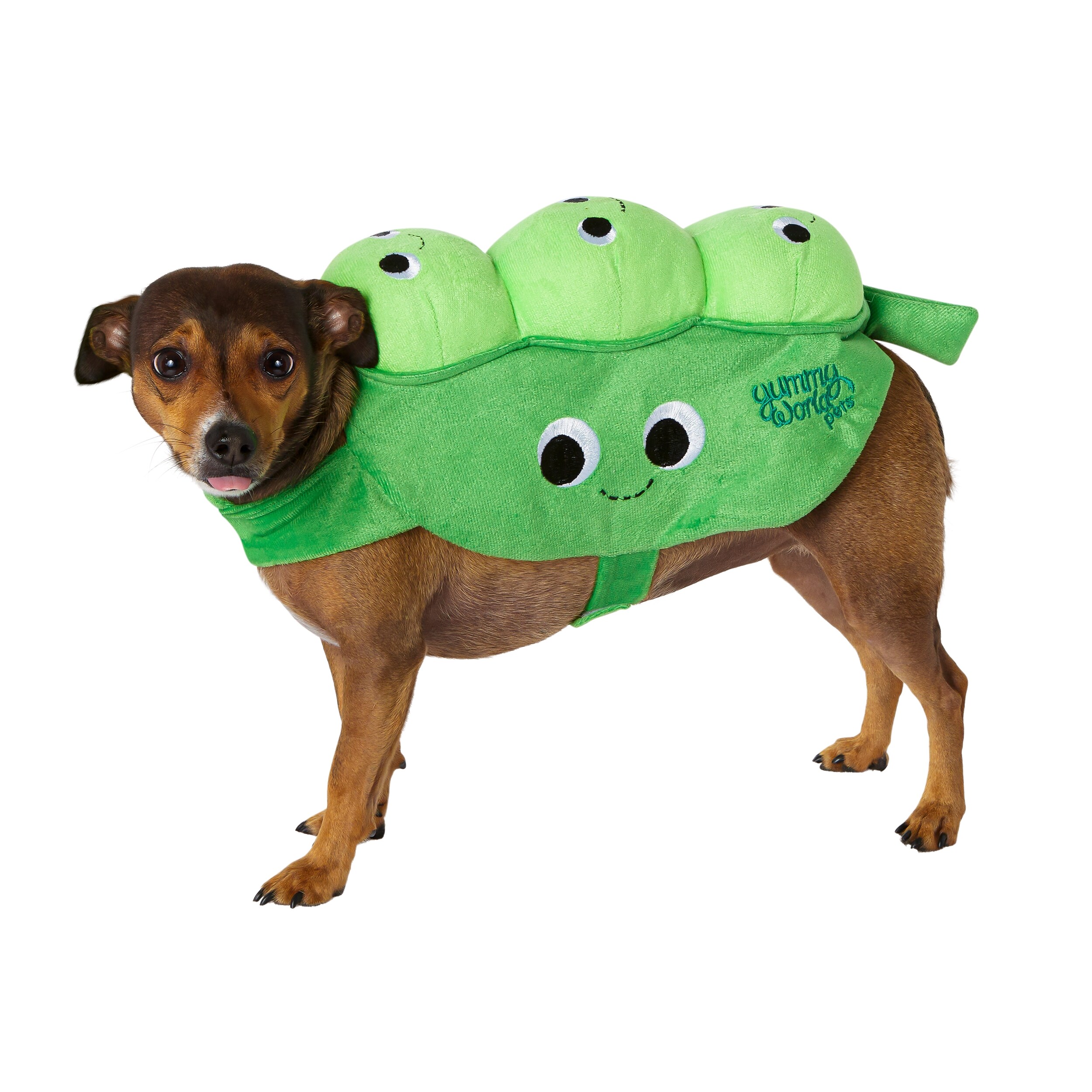 Rubie's Costumes Large Green Polyester Pet Costume - Halloween