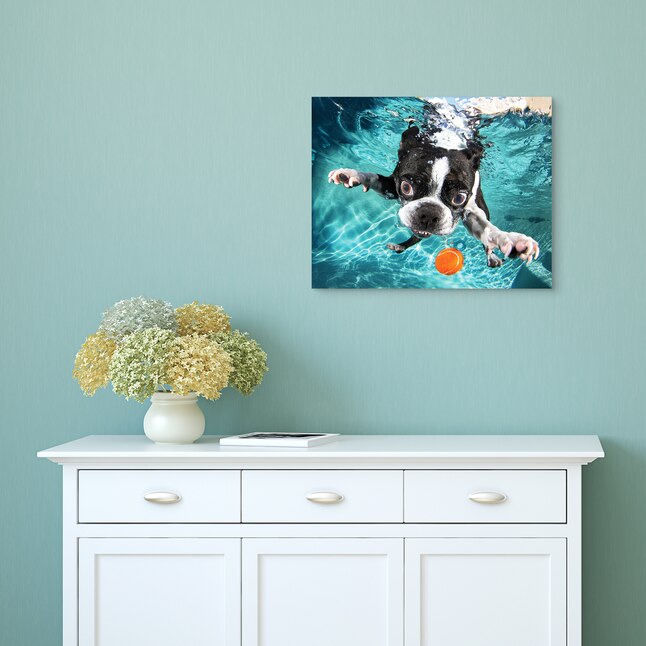 Empire Art Direct 16-in H x 20-in W Animals Glass Print in the Wall Art department at Empire Art Direct 16-in H x 20-in W Animals Glass Print in the Wall Art department at