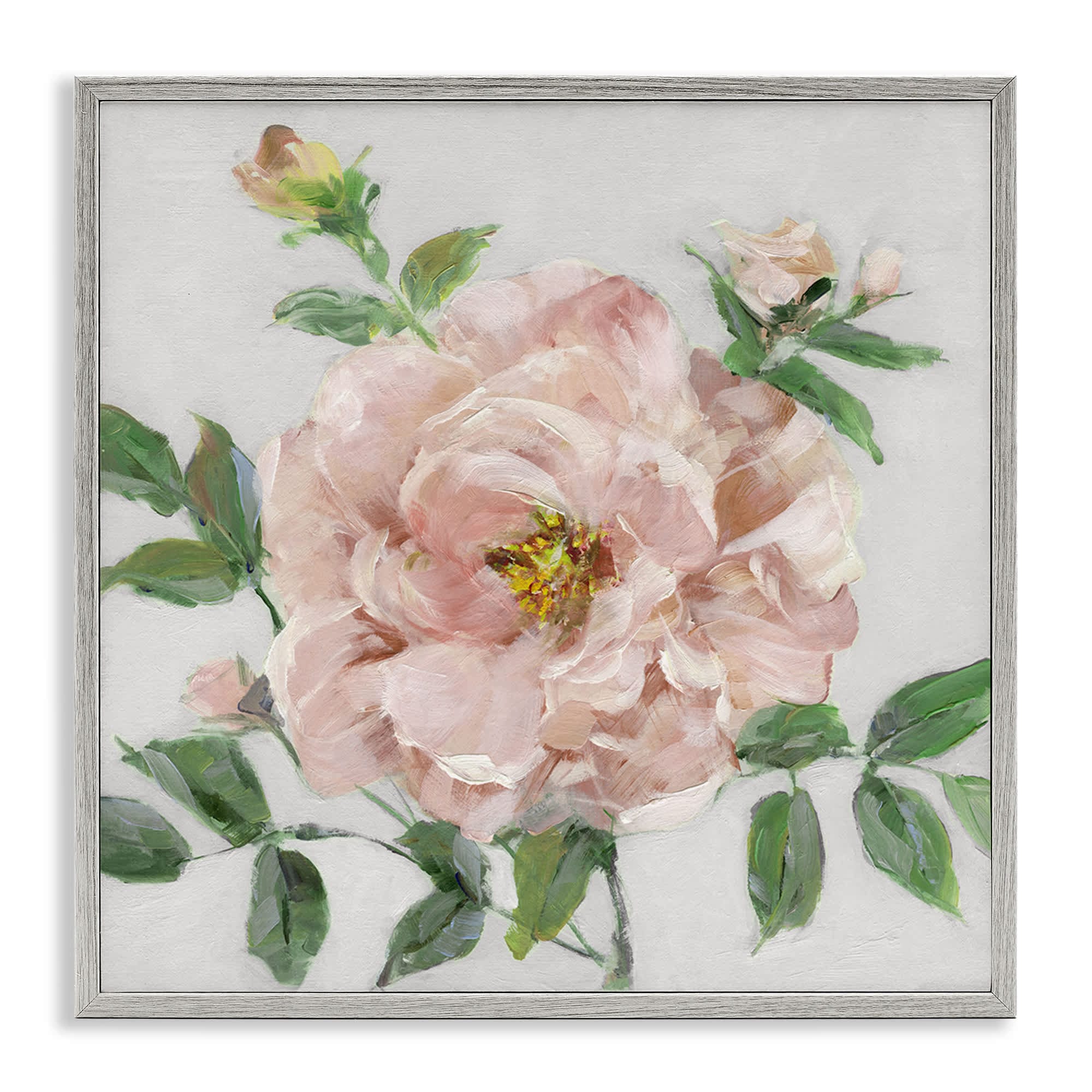 Stupell Industries BS-266-GFF-24X24 Pink Carnation Blossom Gray Framed Giclee Art By Sally Swatland 24 x 24