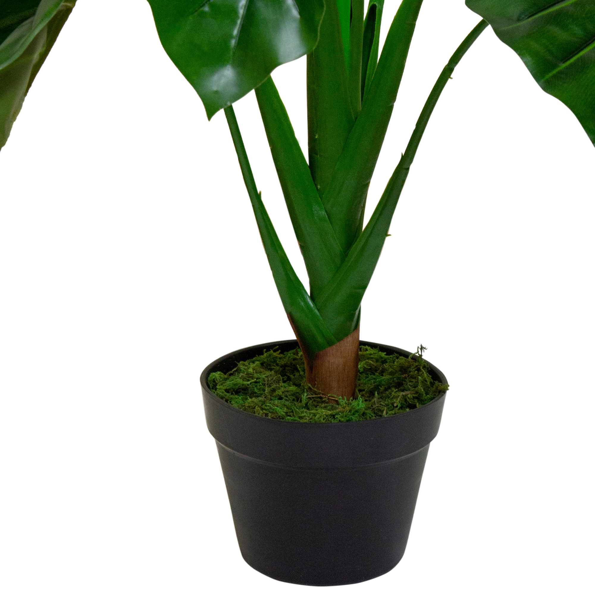 Northlight 34219744 Artificial-Plants-Trees - View #4