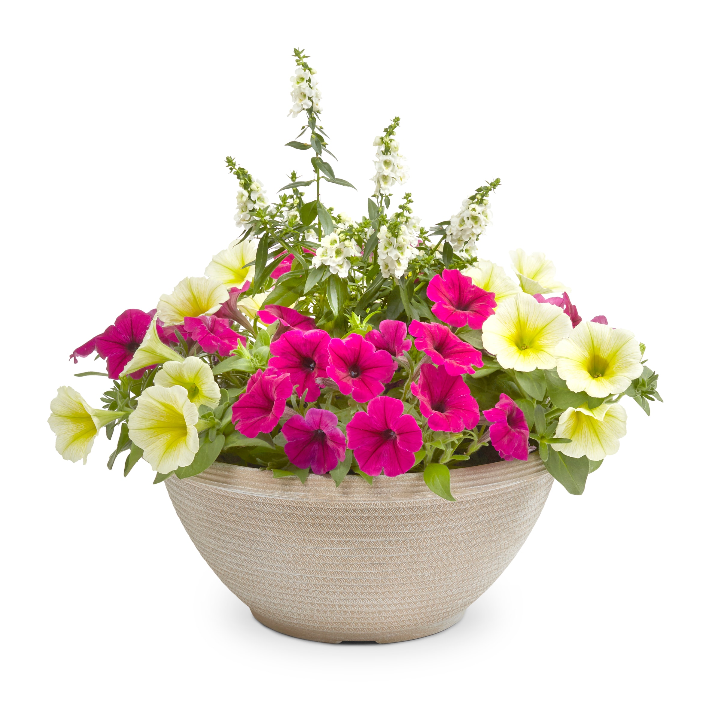 Lowe's NURSERY Multicolor Mixed Annuals in 2-Gallon Planter