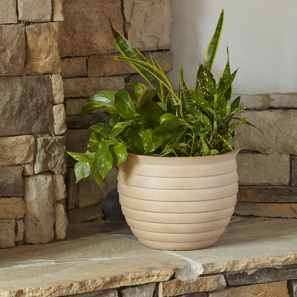 allen + roth CMX-092070 Planter-Window-Box - View #4