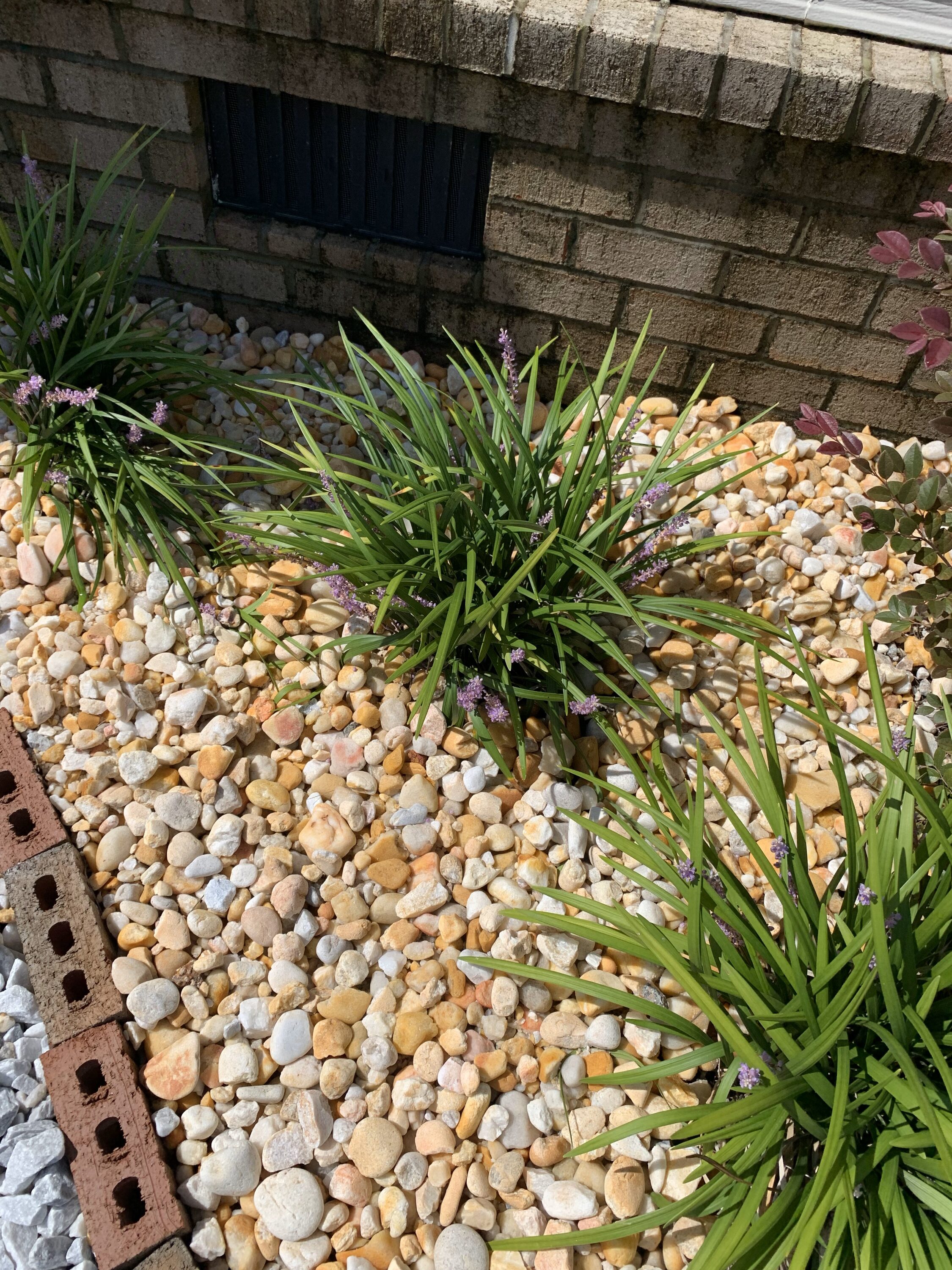 Longleaf Packaging 10015 Landscaping-Rock - View #6