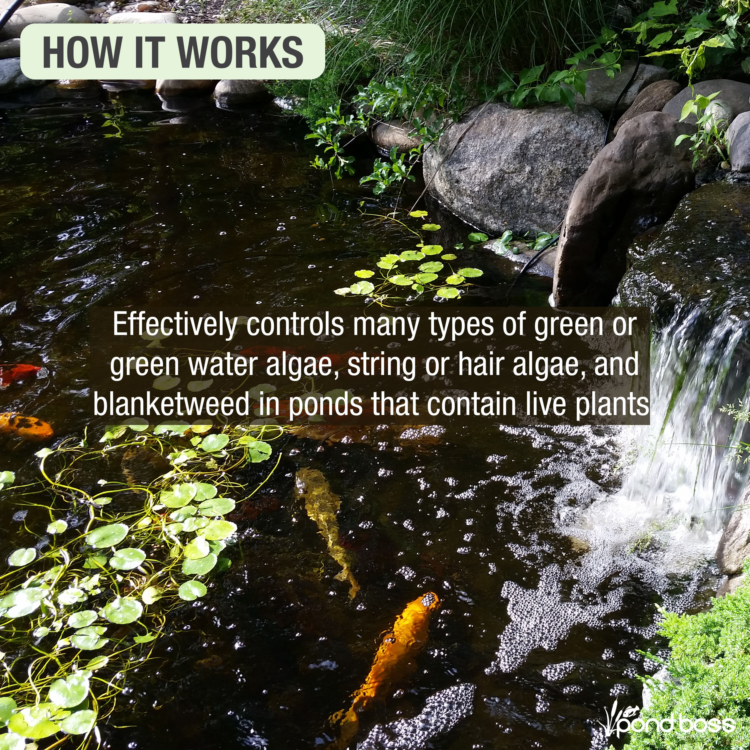 pond boss 54169 Pond-Cleaners - View #4