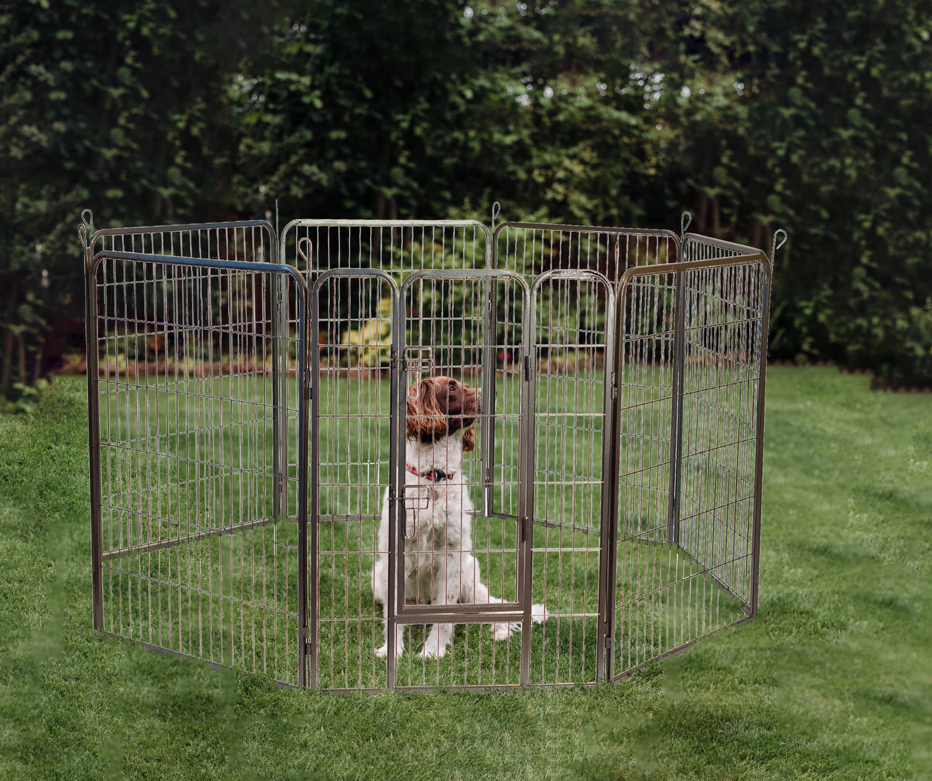 Iconic Pet 92148 Pet-Crates-Carriers - View #3