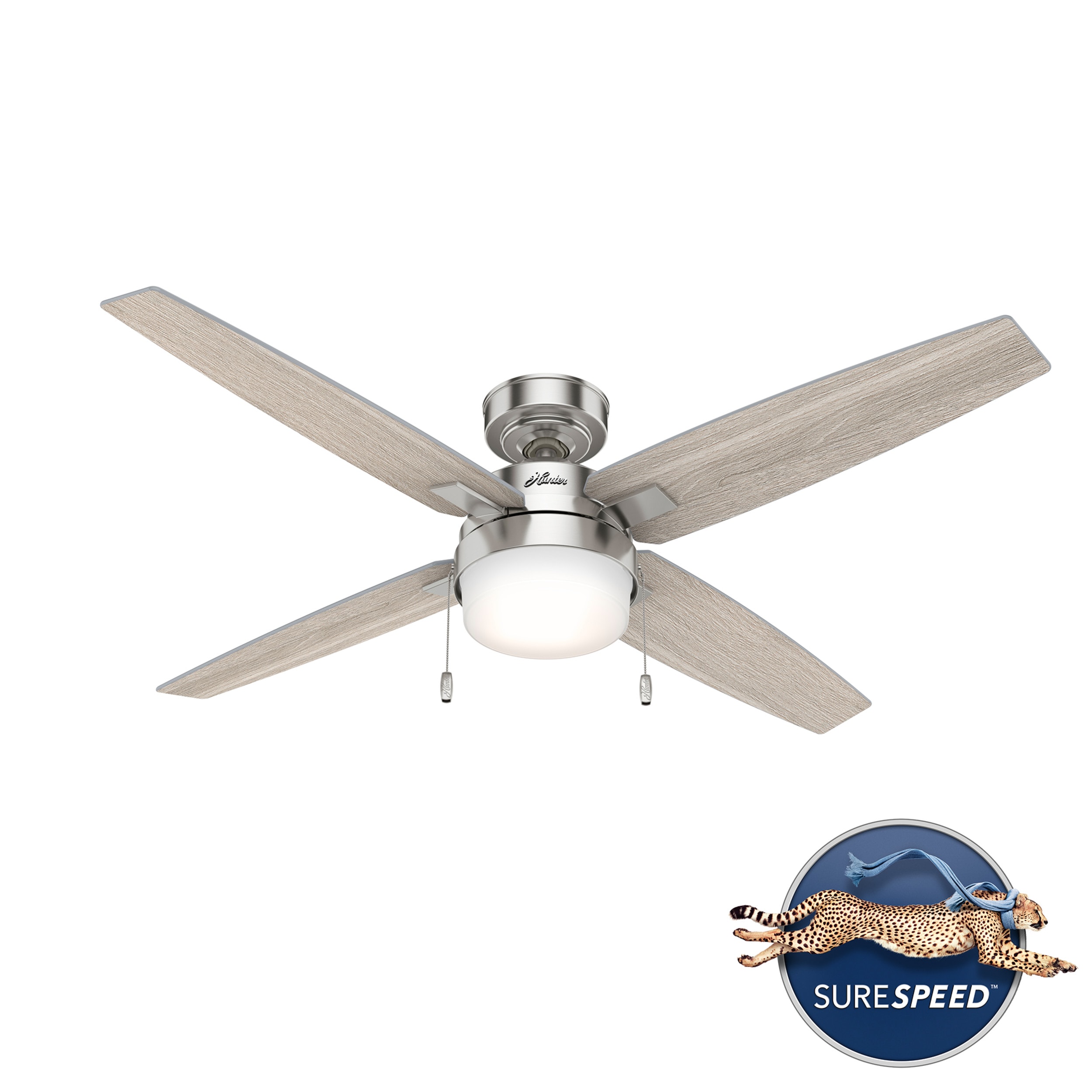 Hunter 50242 Ceiling-Fans - View #9