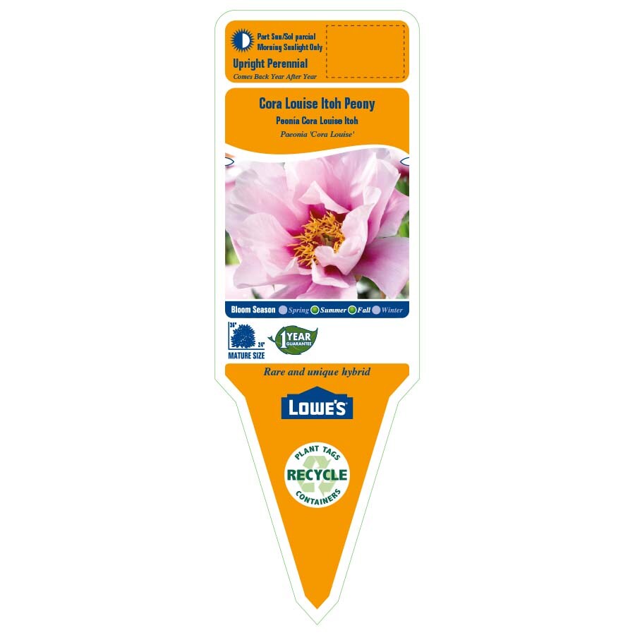 Garden State Bulb 01803 perennials - View #2