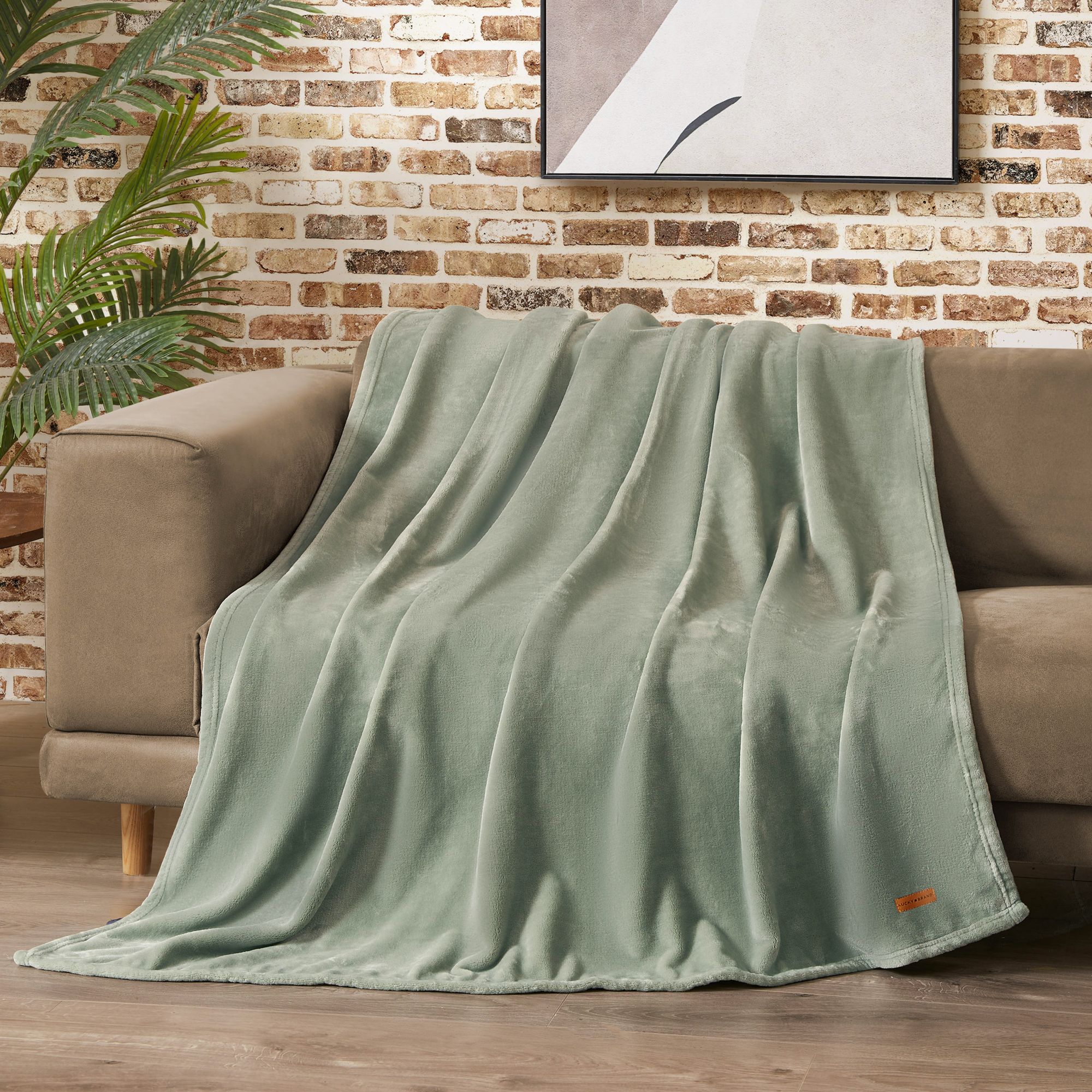 Lucky Brand  Desert Sage Green Solid Plush 50-in x 70-in Throw Blanket