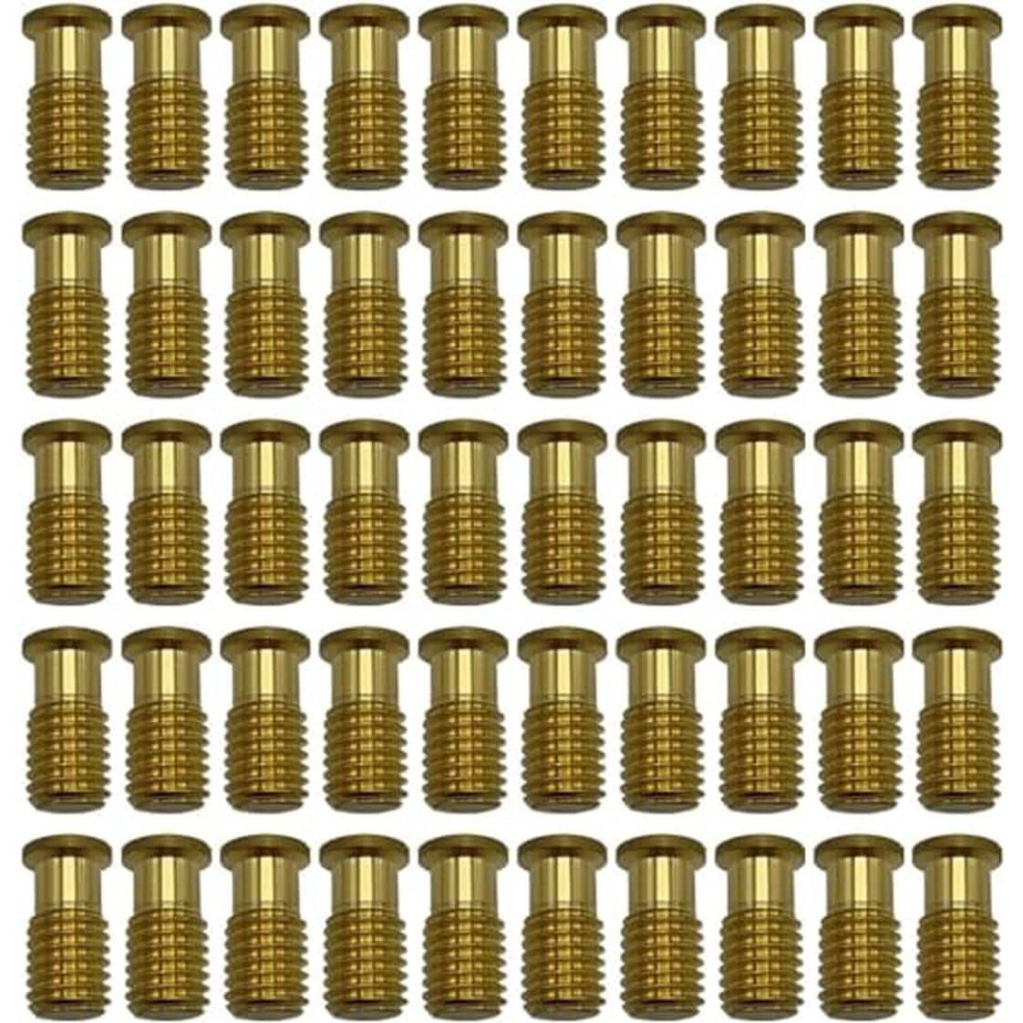 Poolzilla BOLT-50PK 50 PCS Pool Safety Cover Threaded Brass Insert Screw Bolt for Anchor