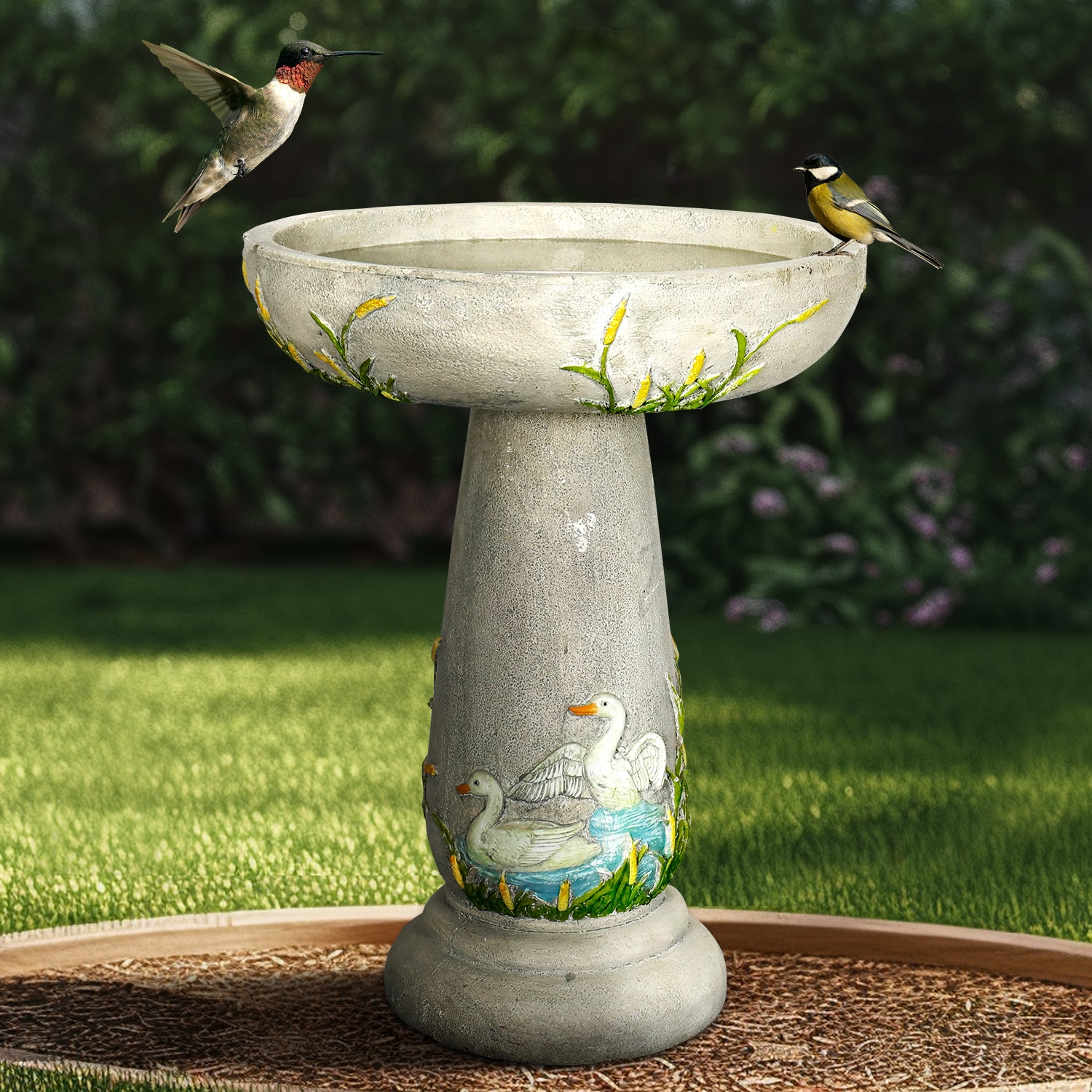 Watnature SJ30018 birdbaths - View #3