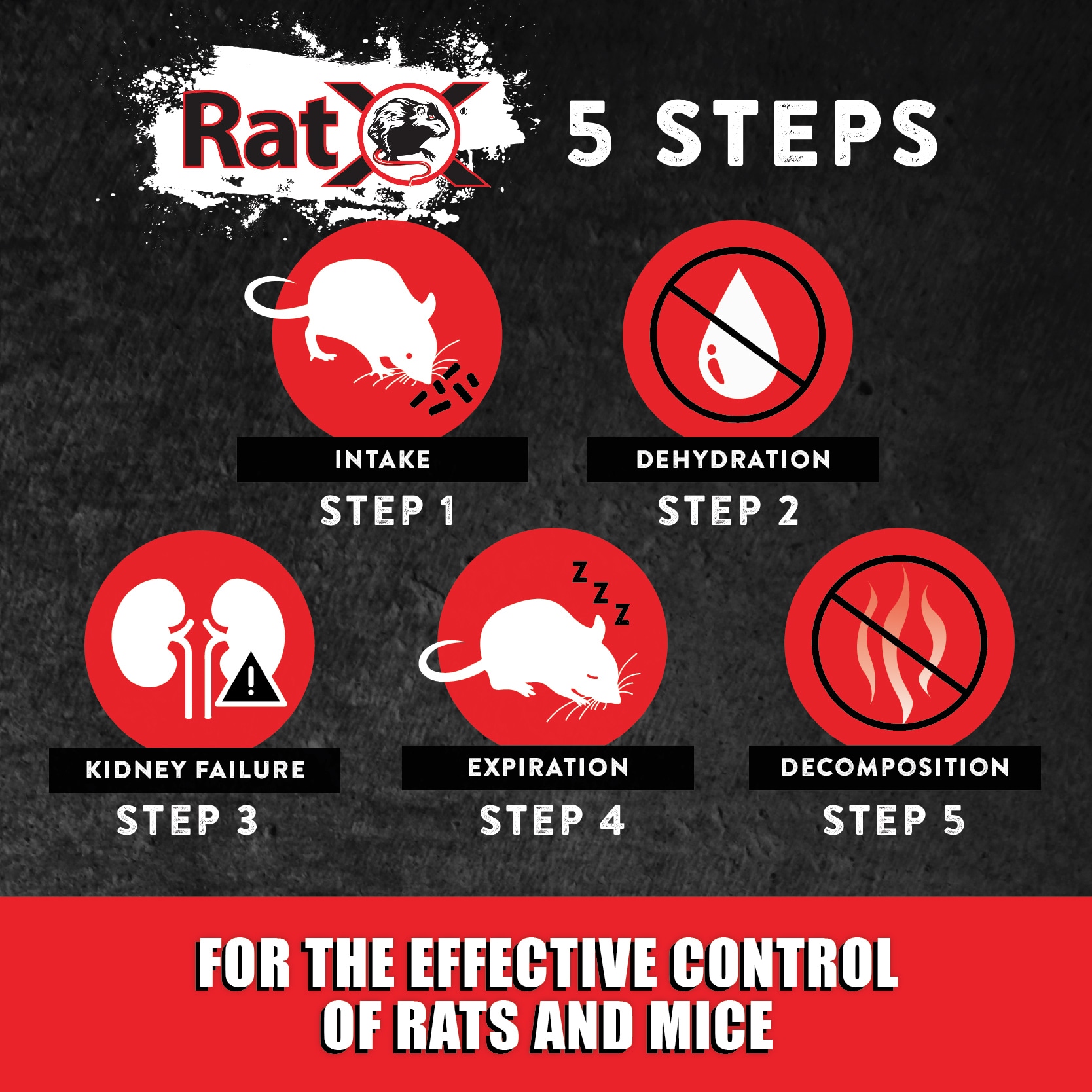 RatX Bait discs Rat Killer at