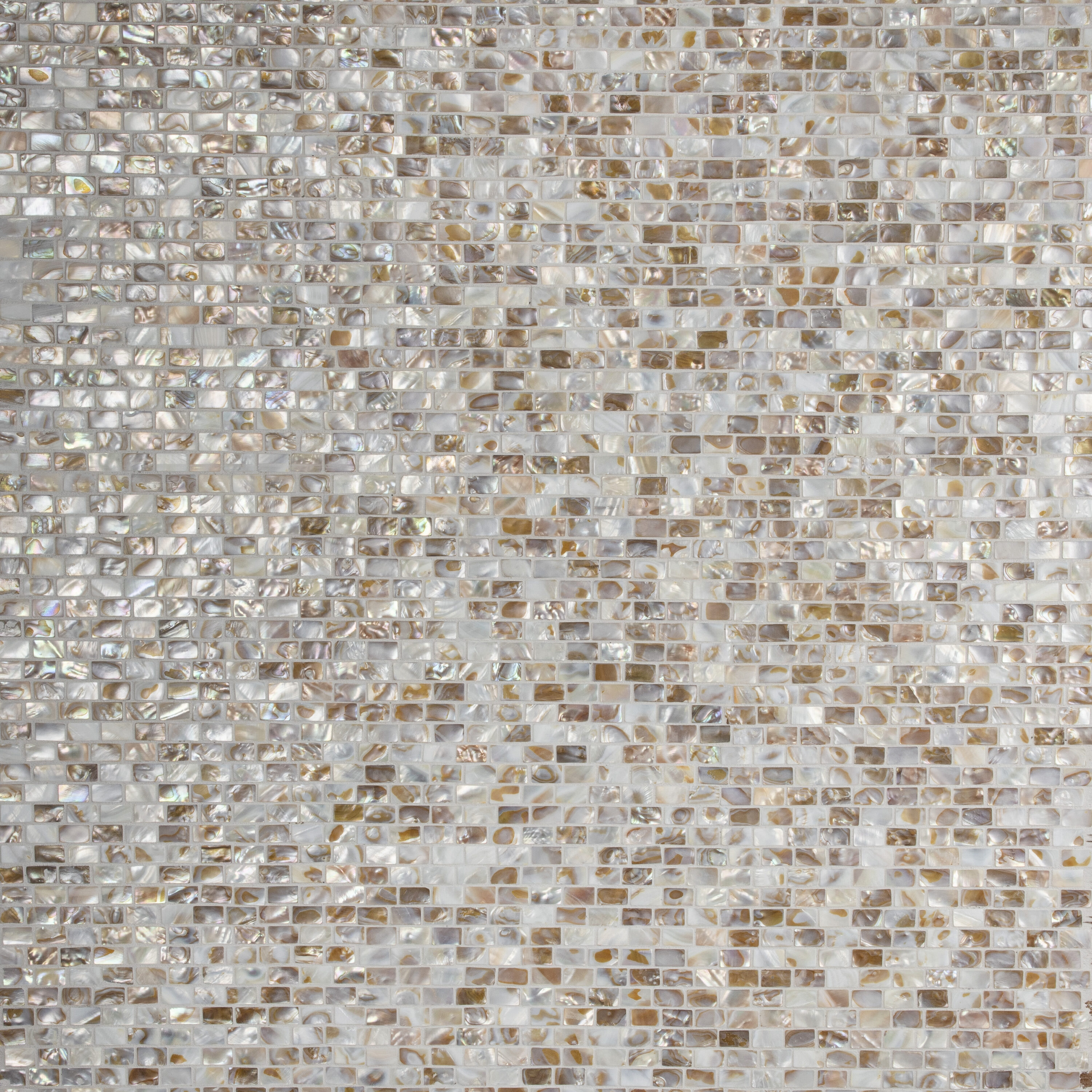 Affinity Tile S1GDXCSWN Tile-Samples - View #5