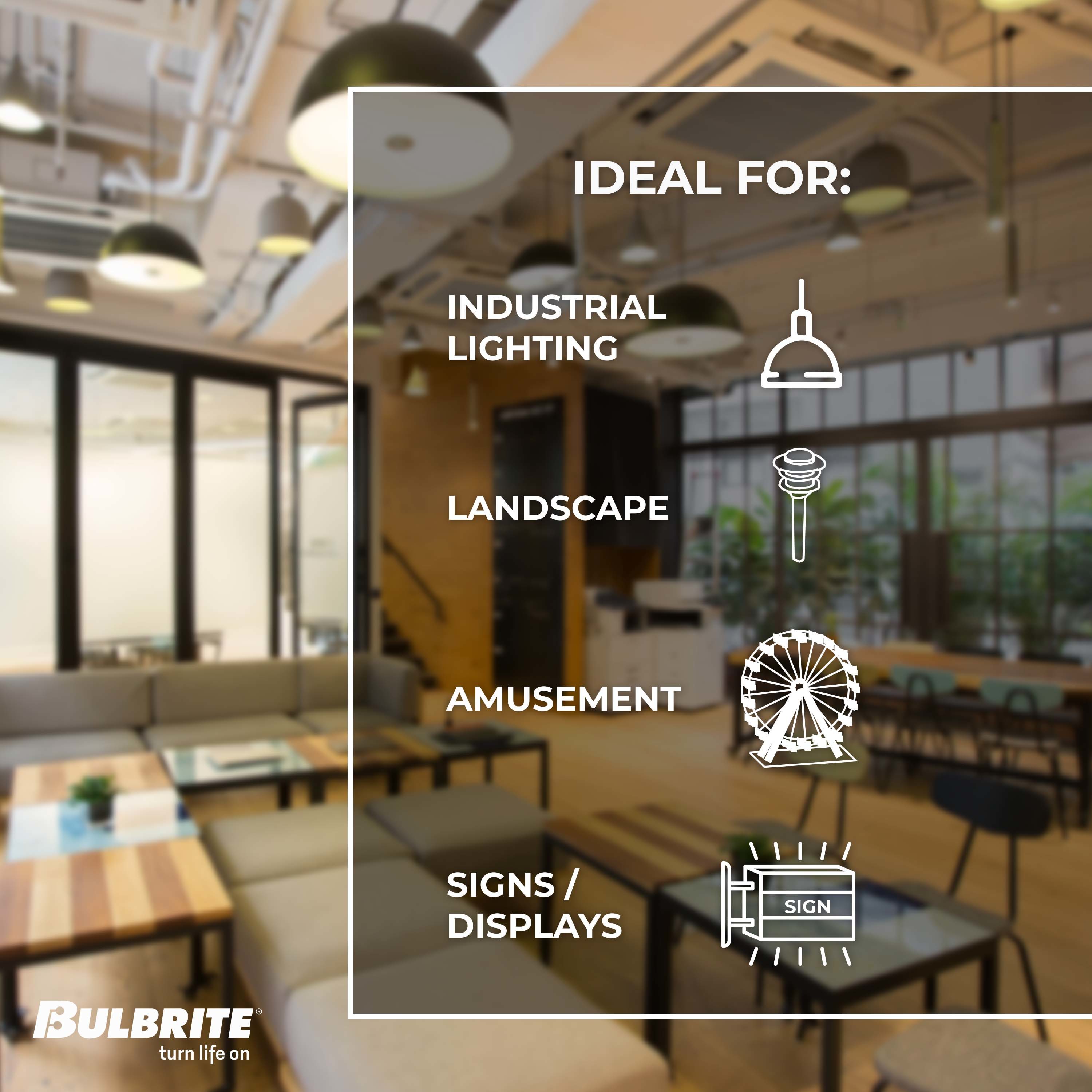 Bulbrite 861630 Dec-Led-Light-Bulbs - View #5